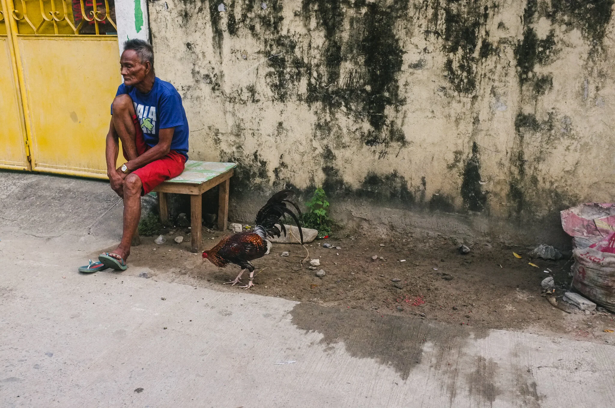 Philippines 2017-019.jpg