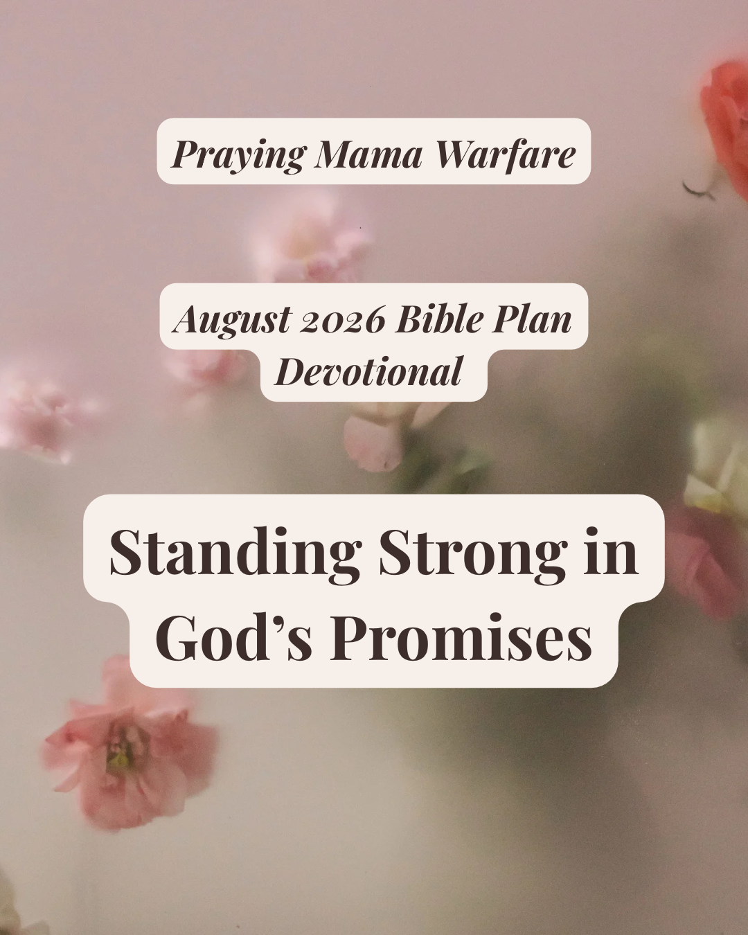 AF188B94-16FA-434F-B598-CEF9A522153A.png
