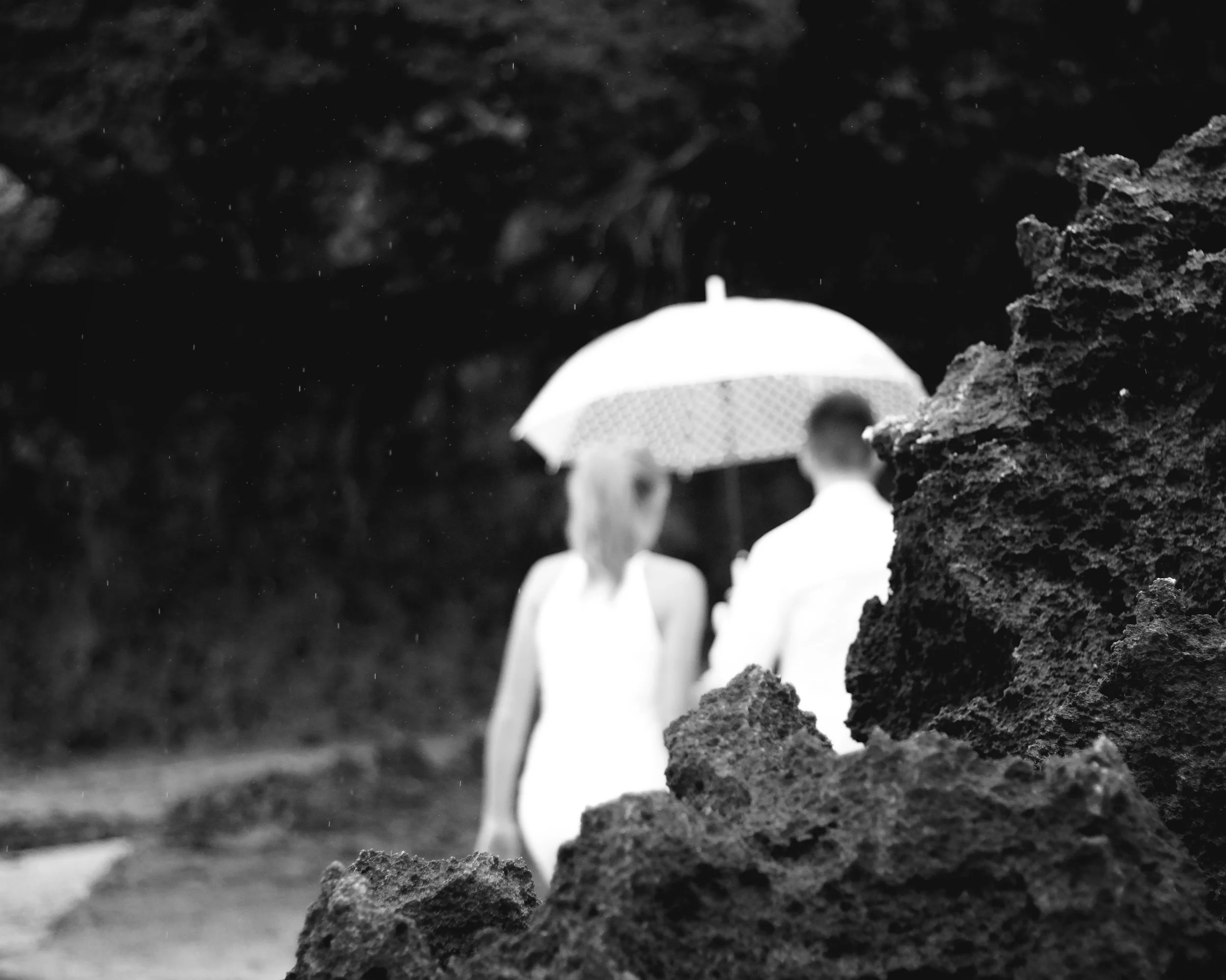 HaslerWed2017-6489.jpg