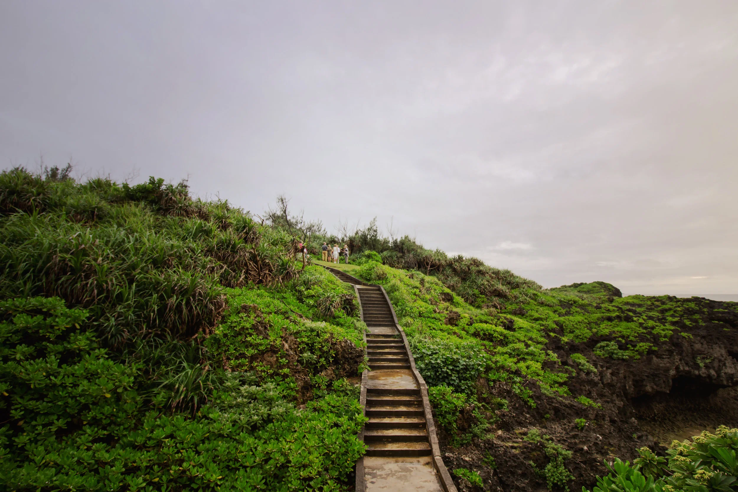 HaslerWed2017-6706 copy.jpg