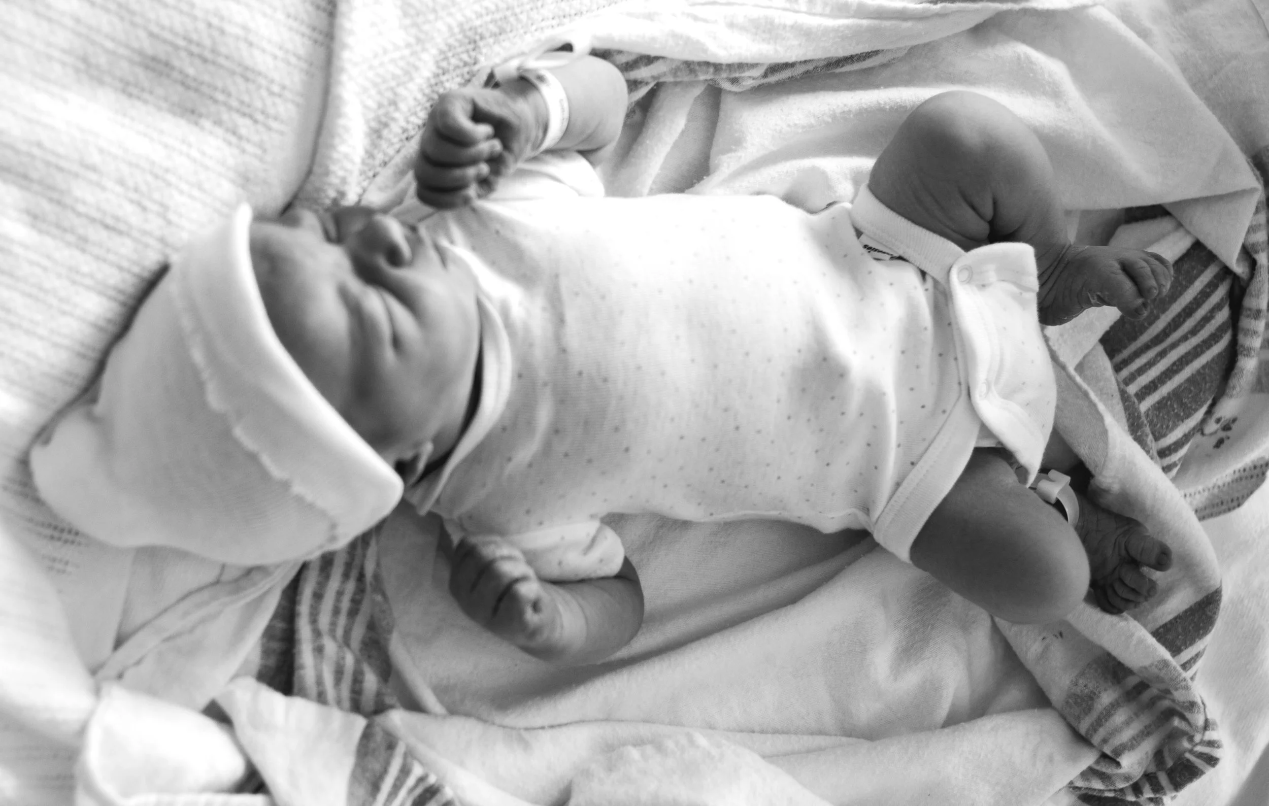 BabyJB-8050.jpg