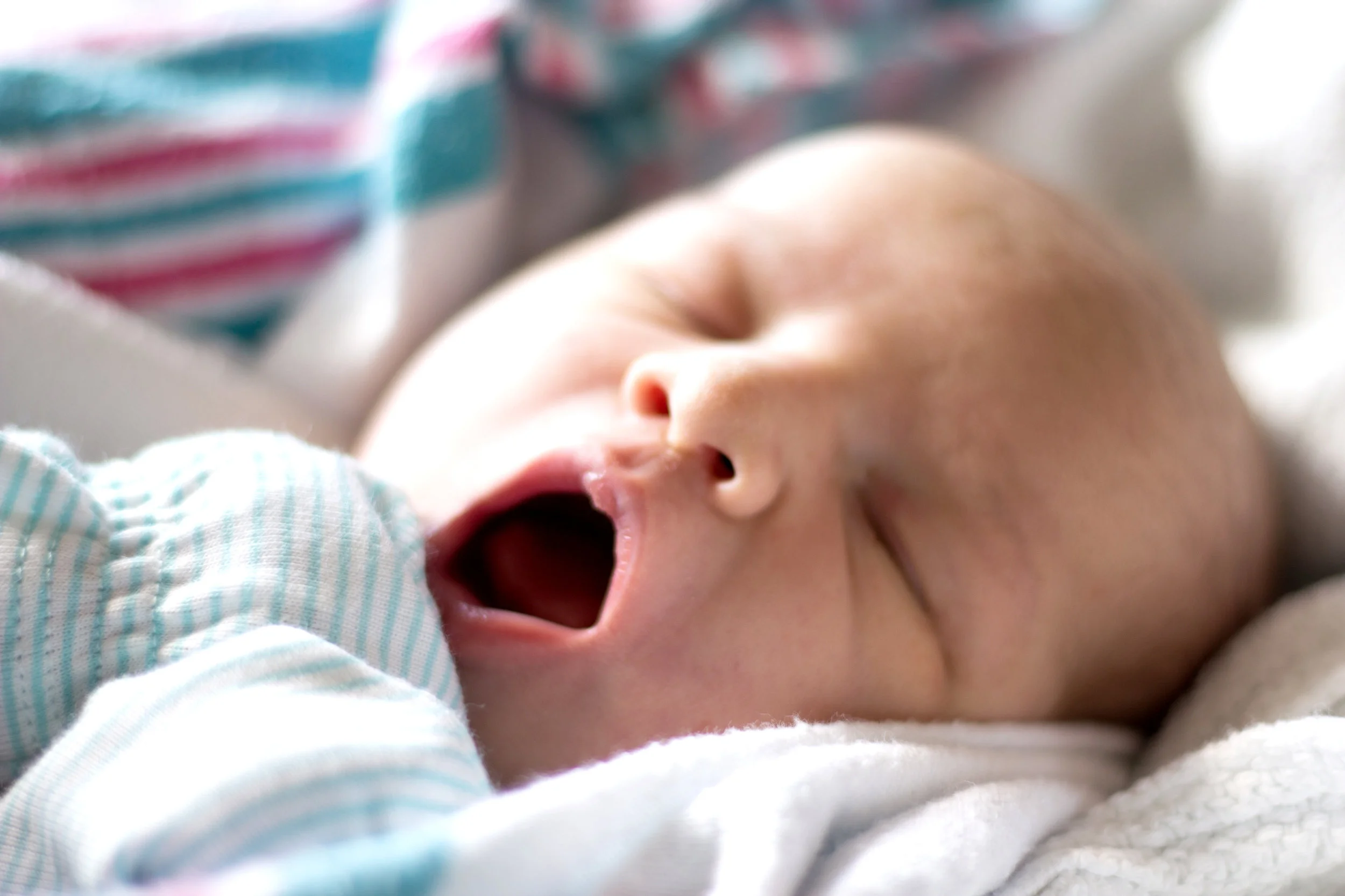 BabyJB-8205.jpg