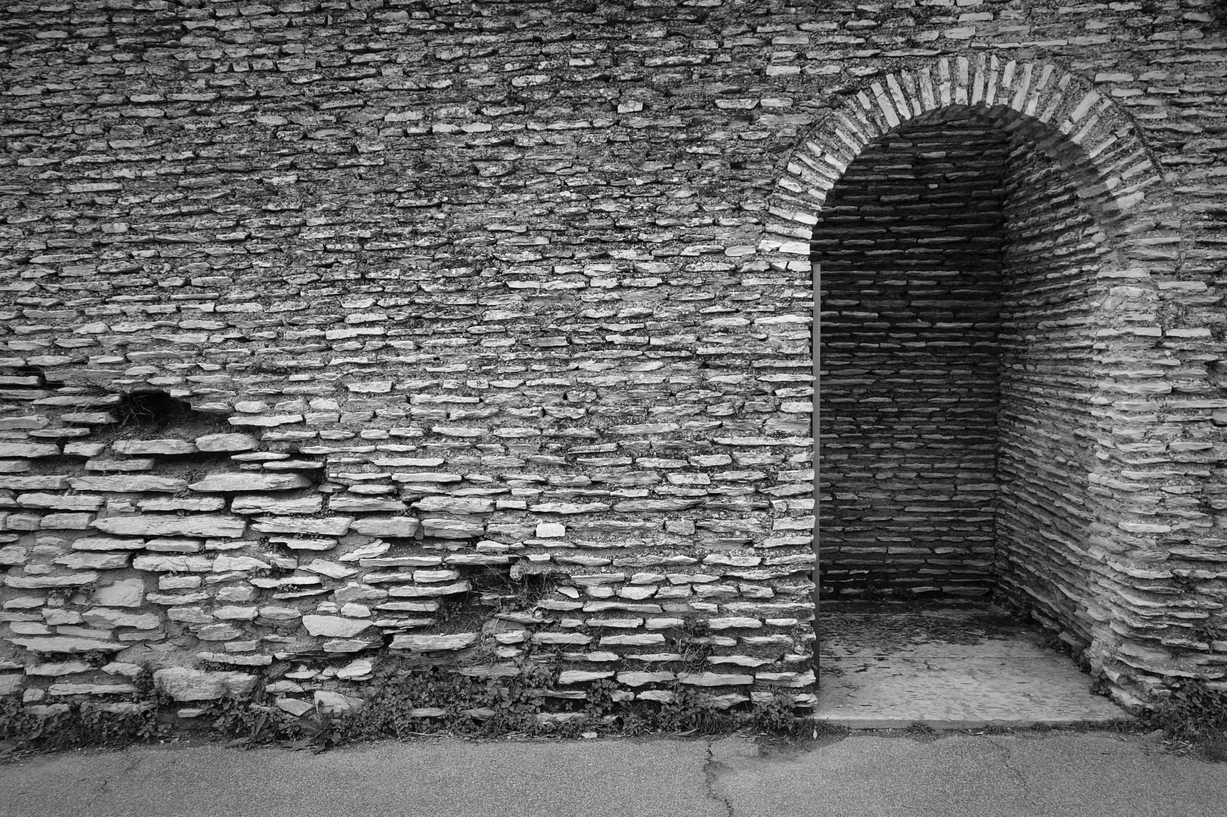 IMGP0666_Fotor.jpg