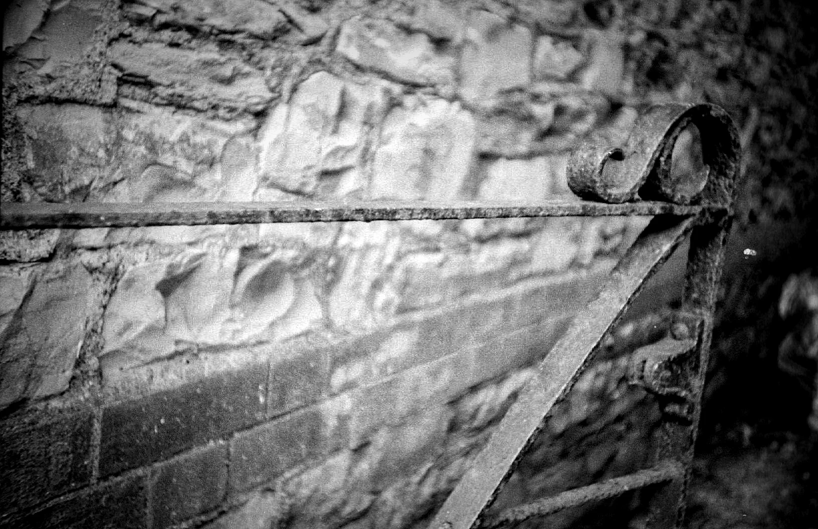 PD_0515_Fotor.jpg