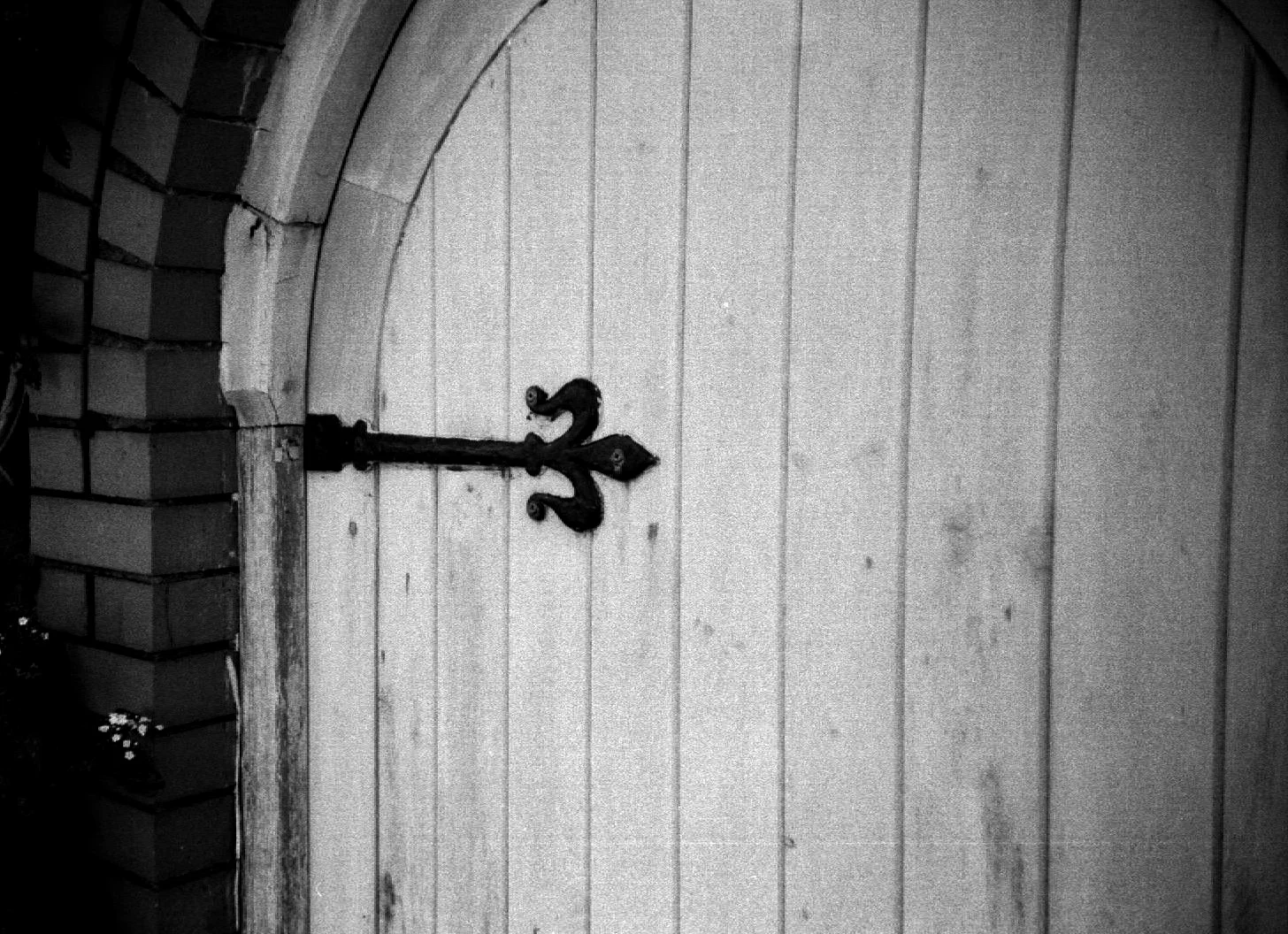 PD_0509_Fotor.jpg