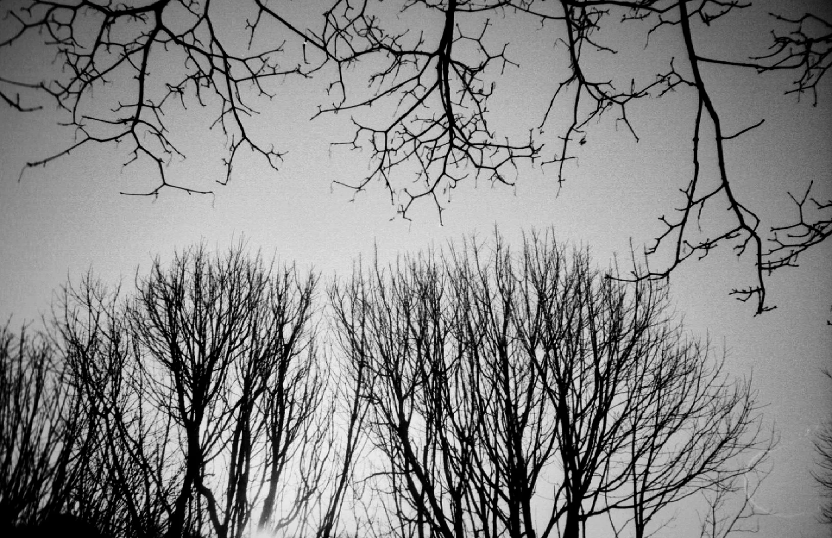 PD_0510_Fotor.jpg