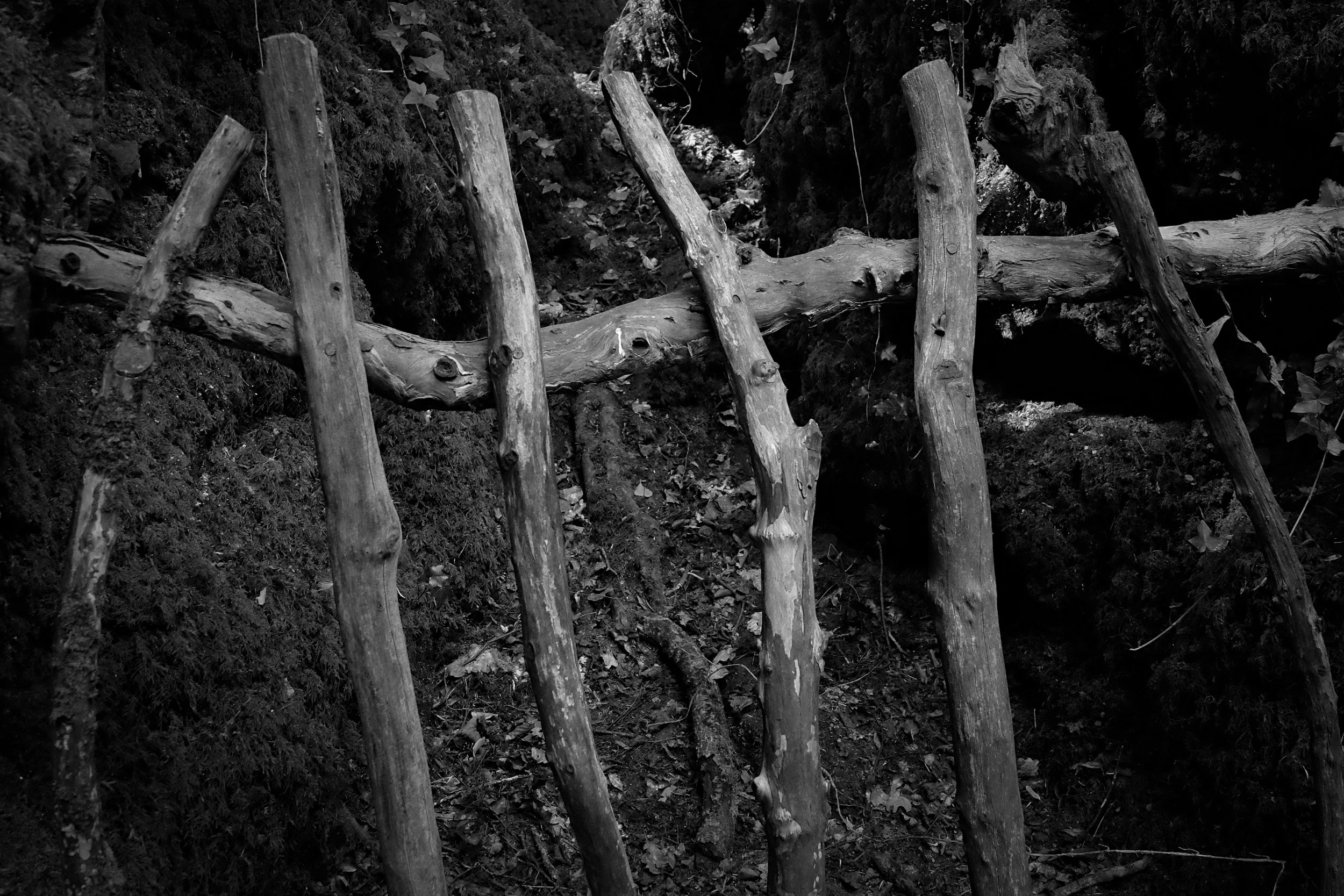DSCF5432_Fotor.jpg