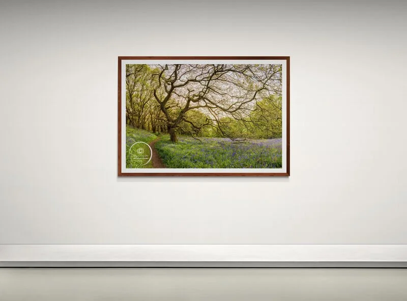 art-gallery-wall---39.jpg