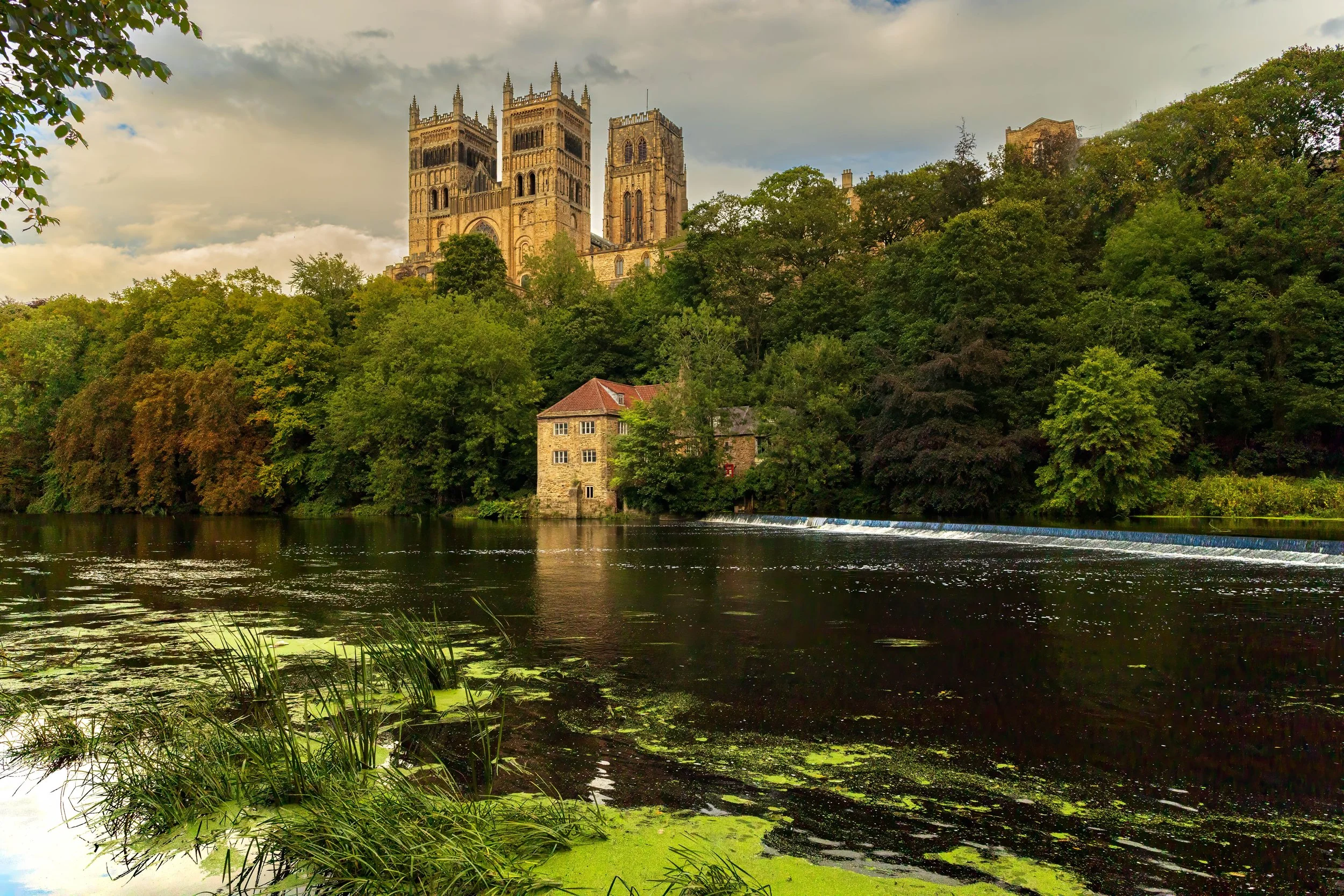 3G7A7978-HDR-Edit-2.jpg