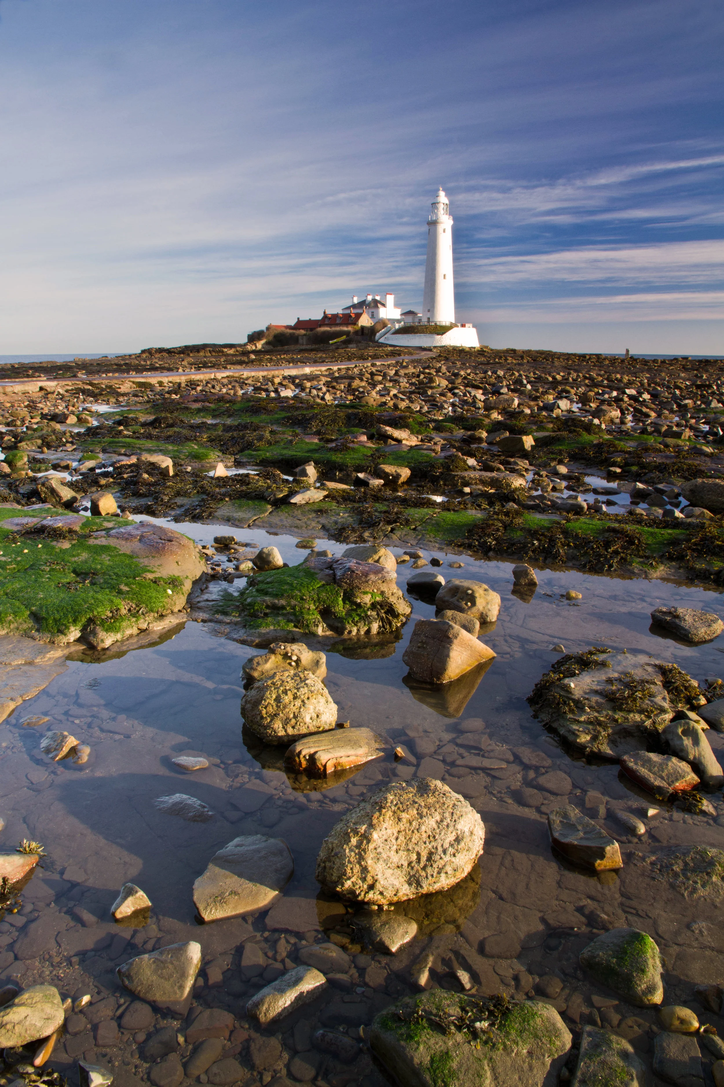 LTY177 - Rockpool Reflections, St Marys LIghthouse.jpg