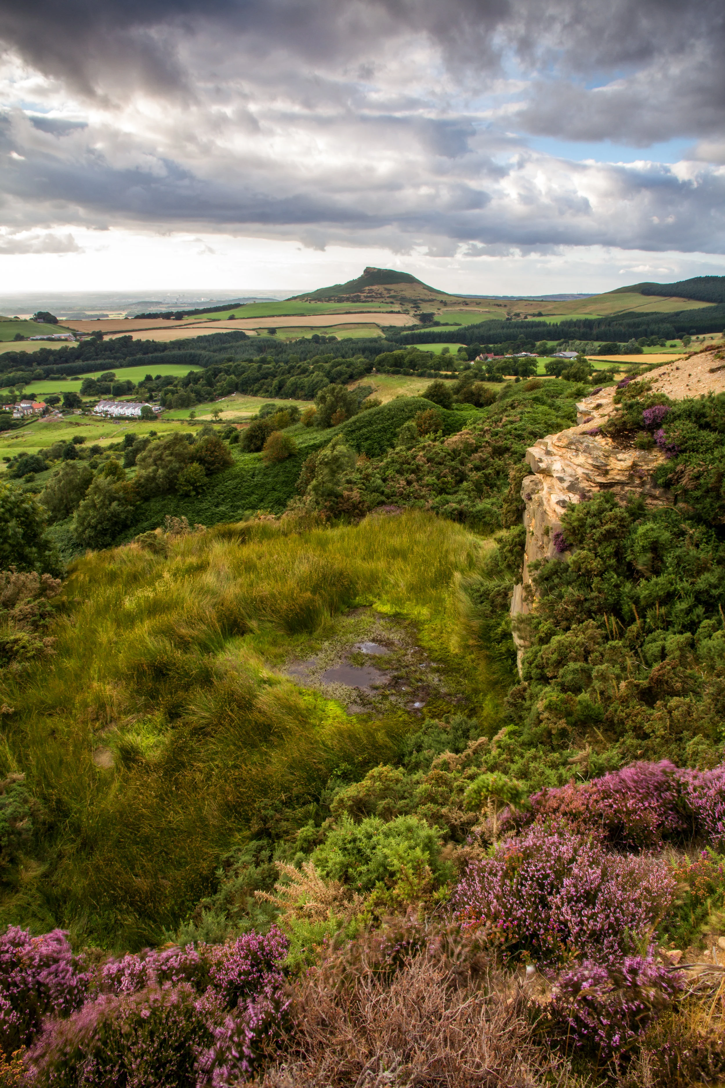 LYC027 - Flowering Heather and Rosberry Topping.jpg