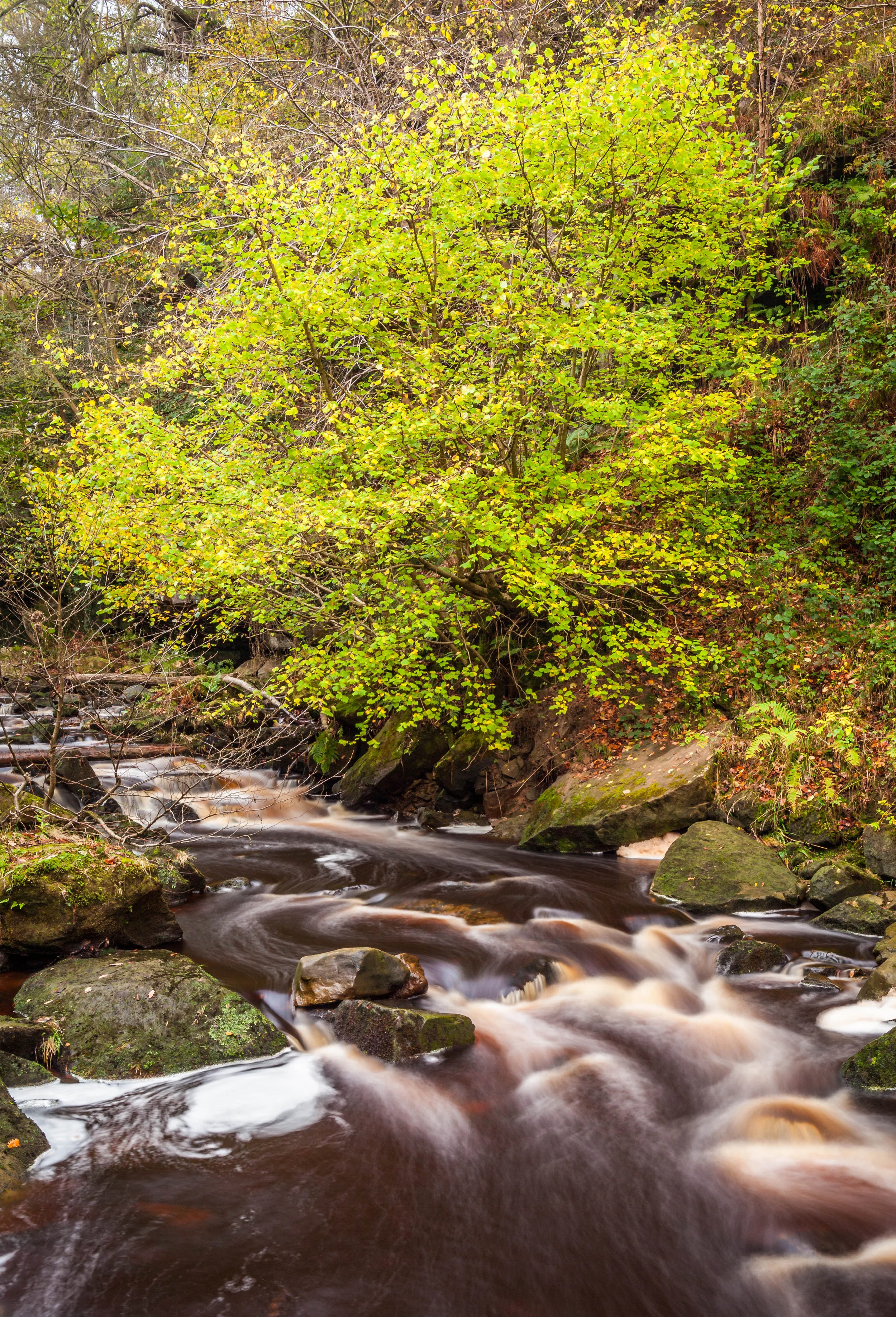 LYC033 - Water Flow and Autumn Colours II.jpg