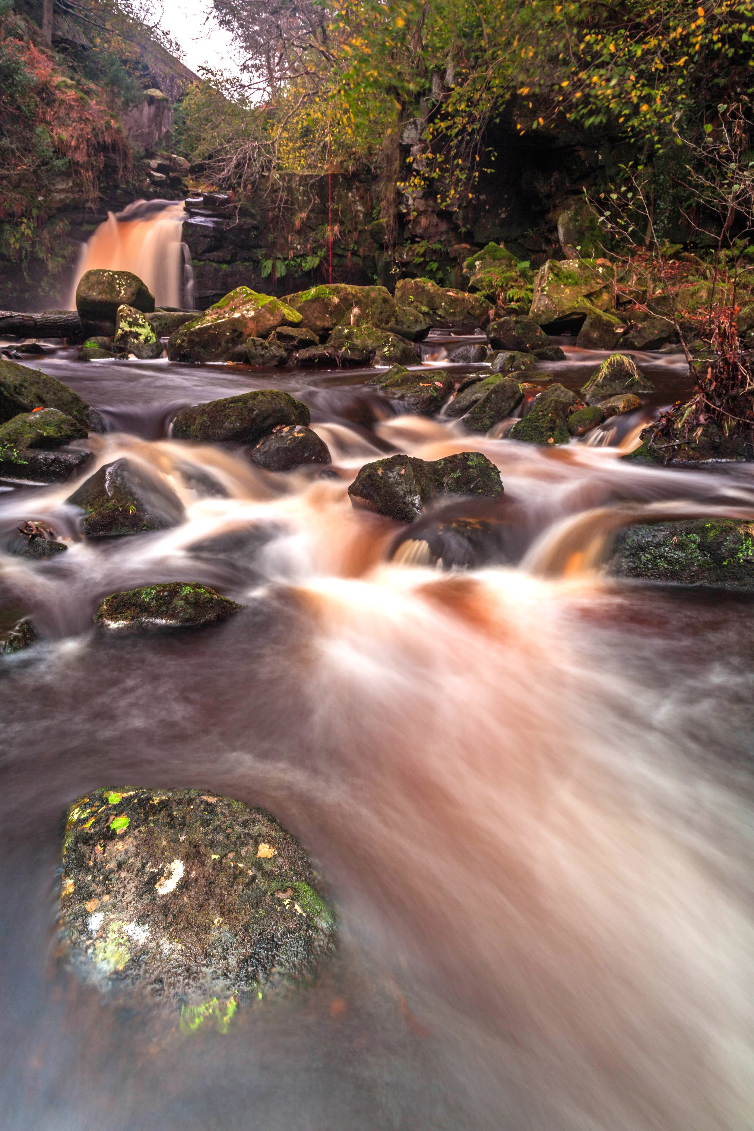 LYC034 - Thomason Foss.jpg