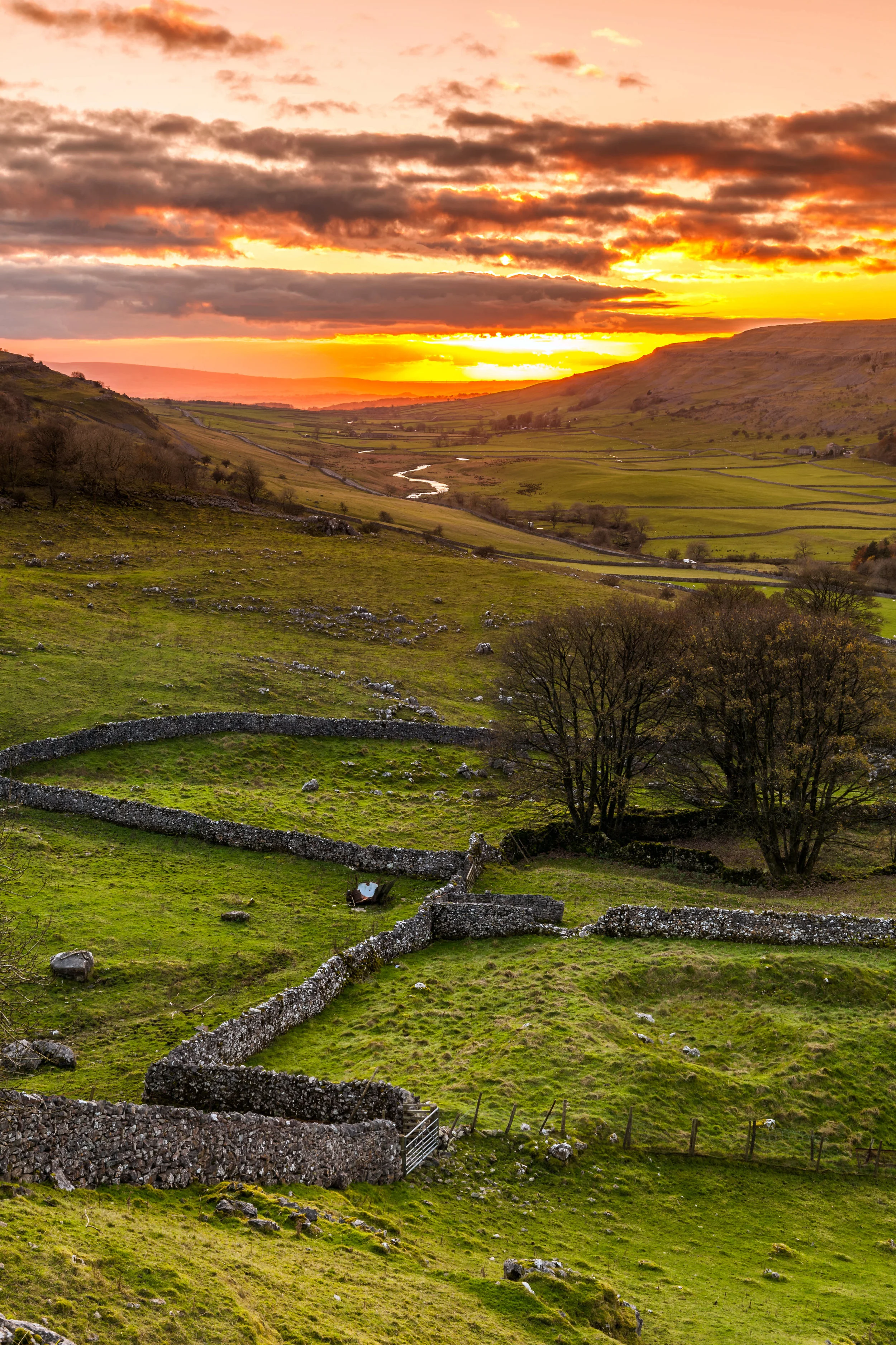 LYD011 - Towards the Sunset.jpg