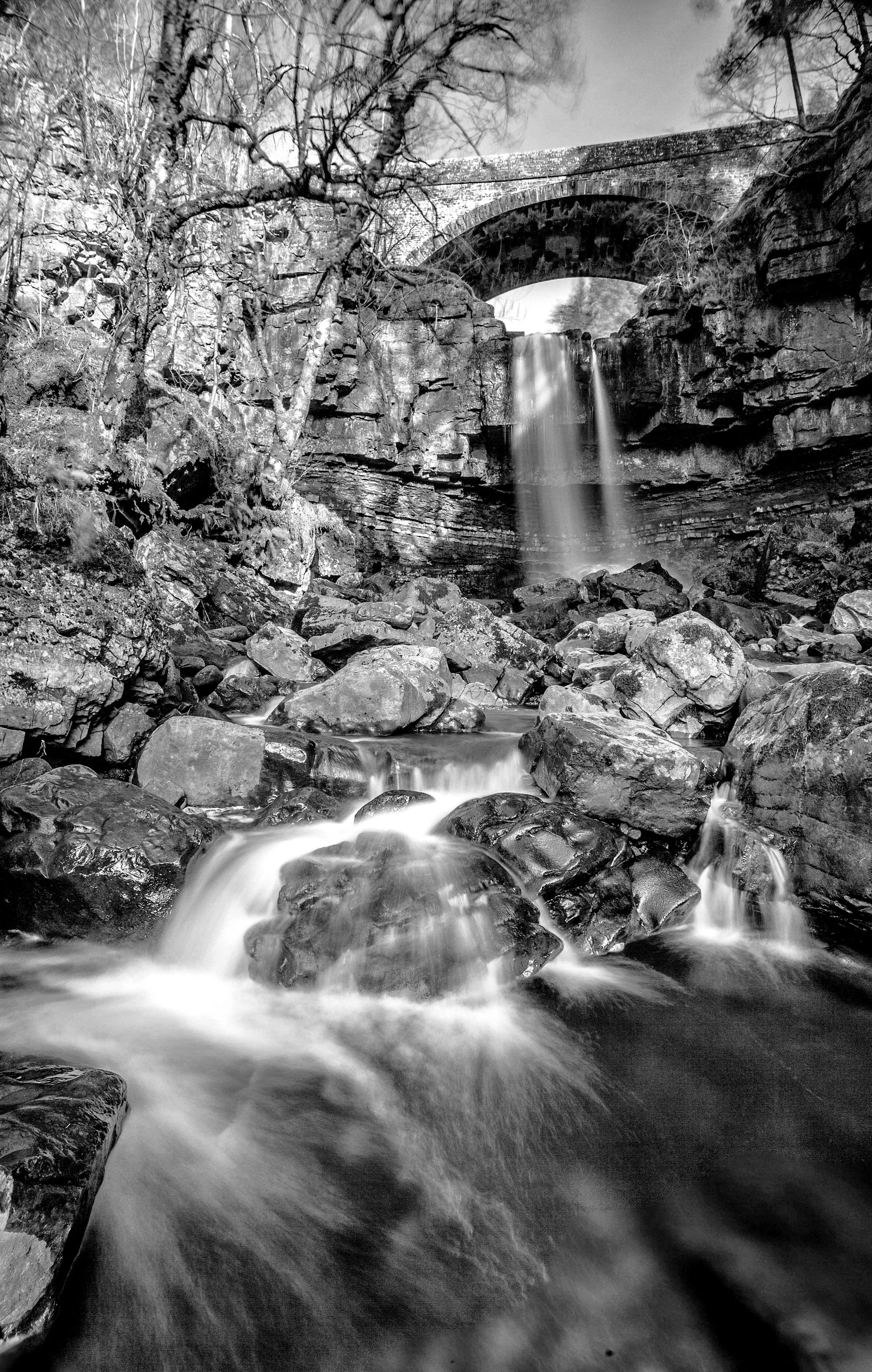 LDU271 - Ashgill Force