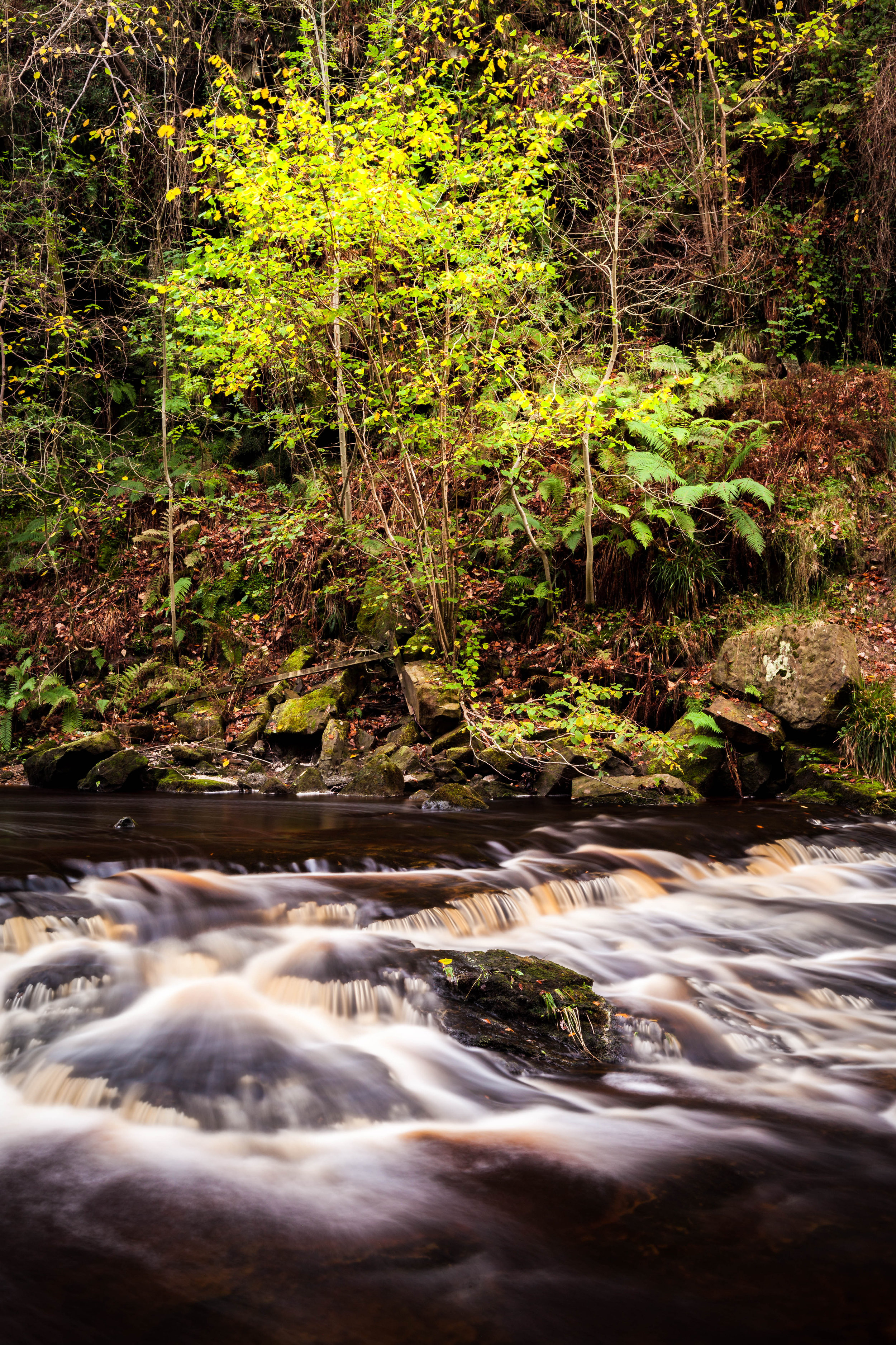 LYC032 - Water Flow and Autumn Colours, Thomason Foss