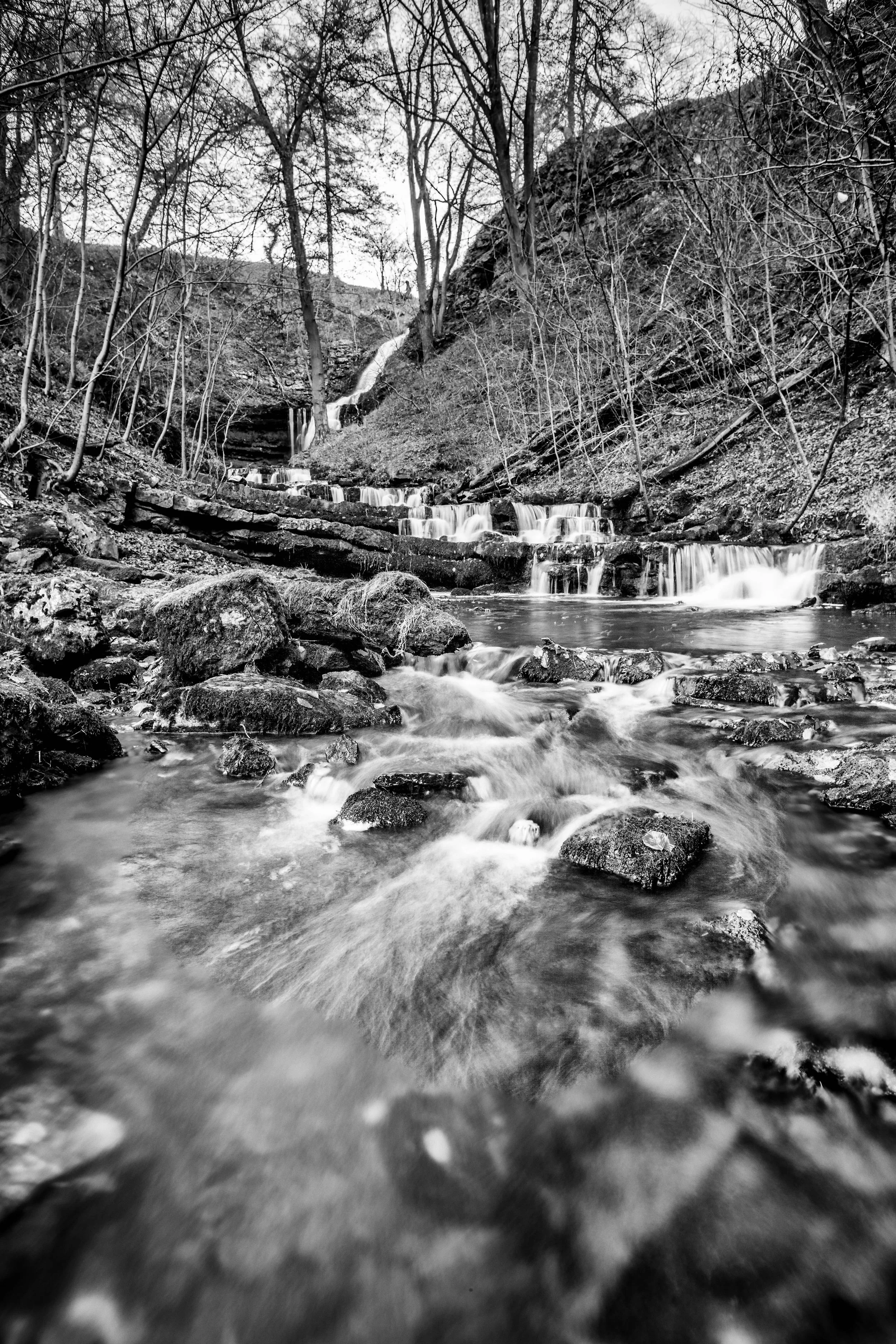 LYD003 - Scalaber Foss