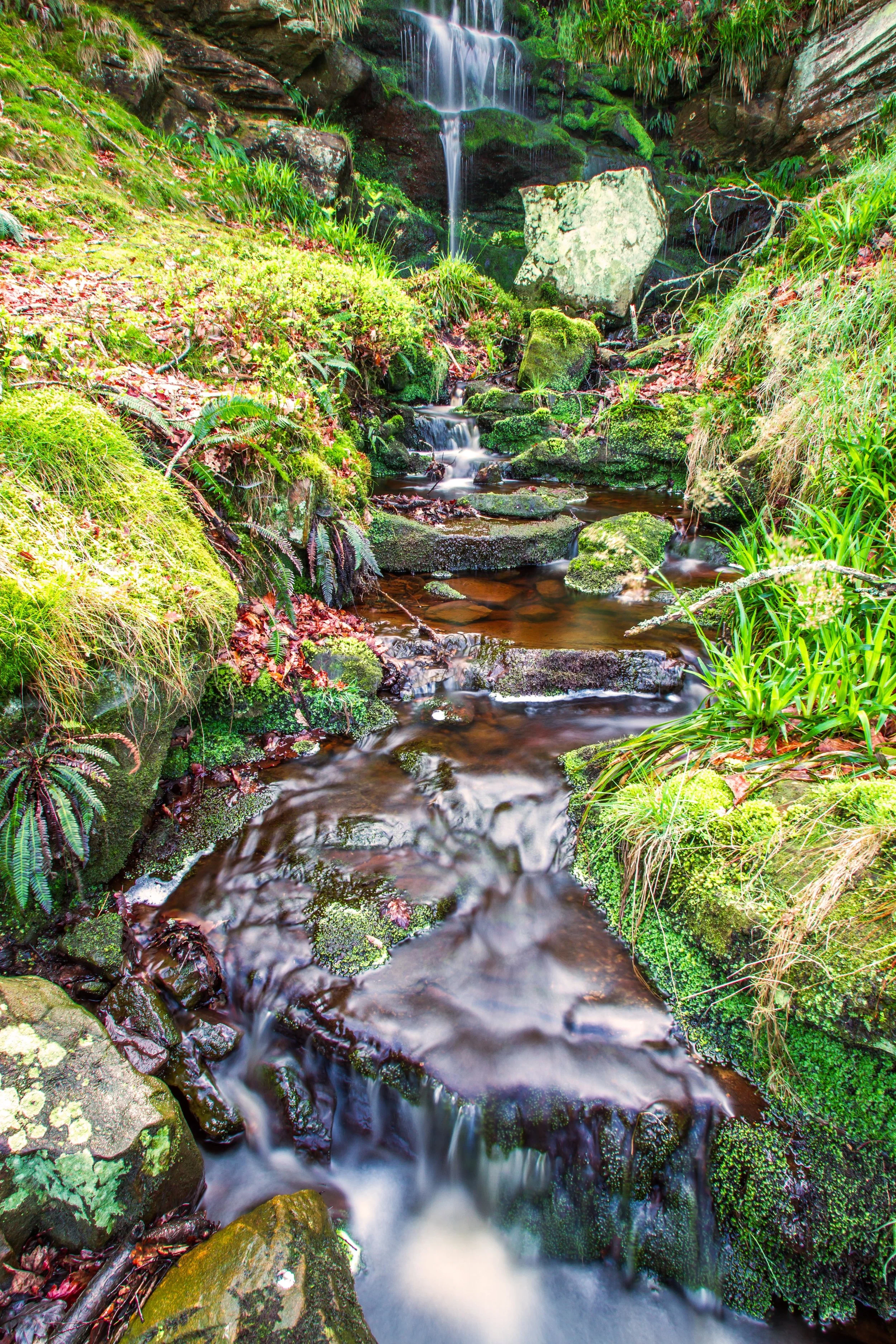 LNO509 - Swinhope Burn Waterfall