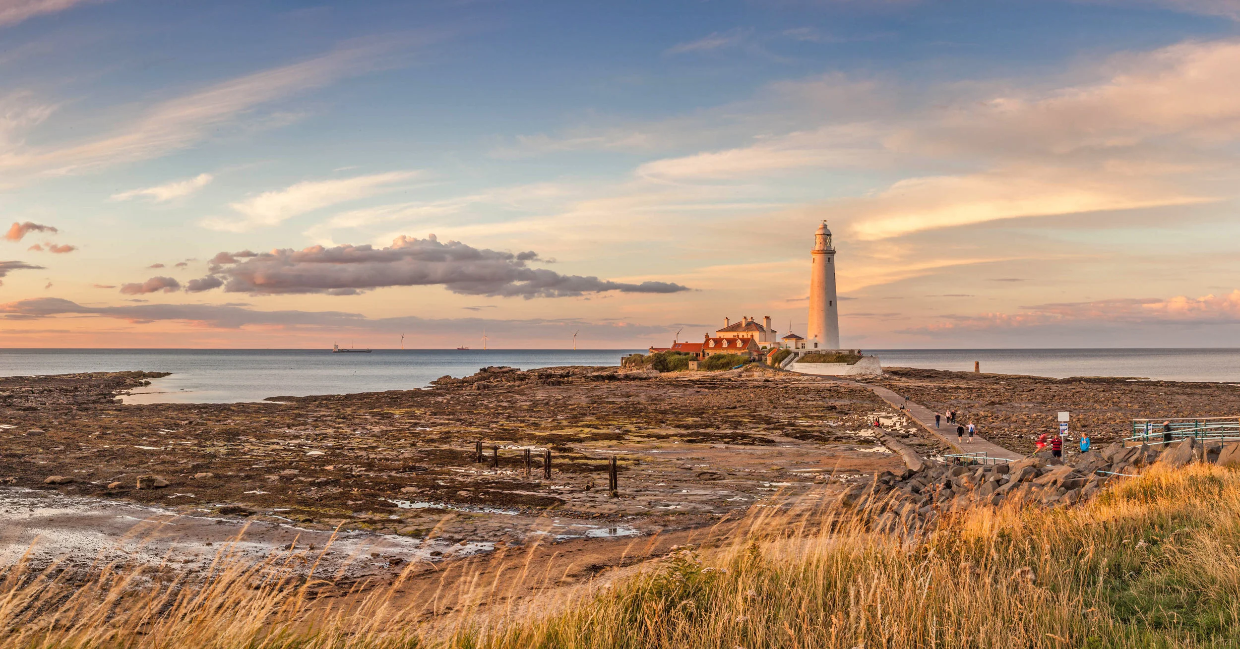 LTY344 PP - Golden Light on St Marys Lighthouse