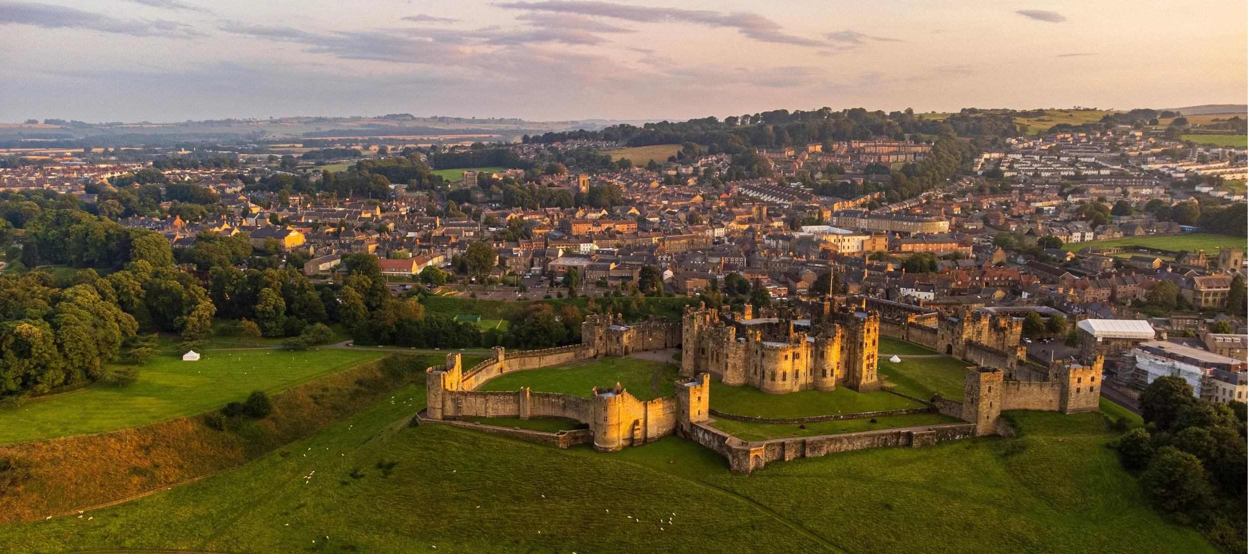 LNO992 - Alnwick a birds eye view - Copy.jpg