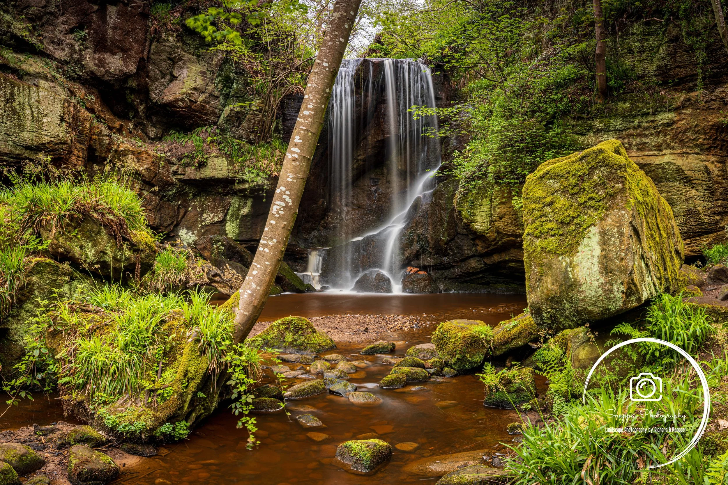 LNO984 - Spring at Routin Lynn.jpg