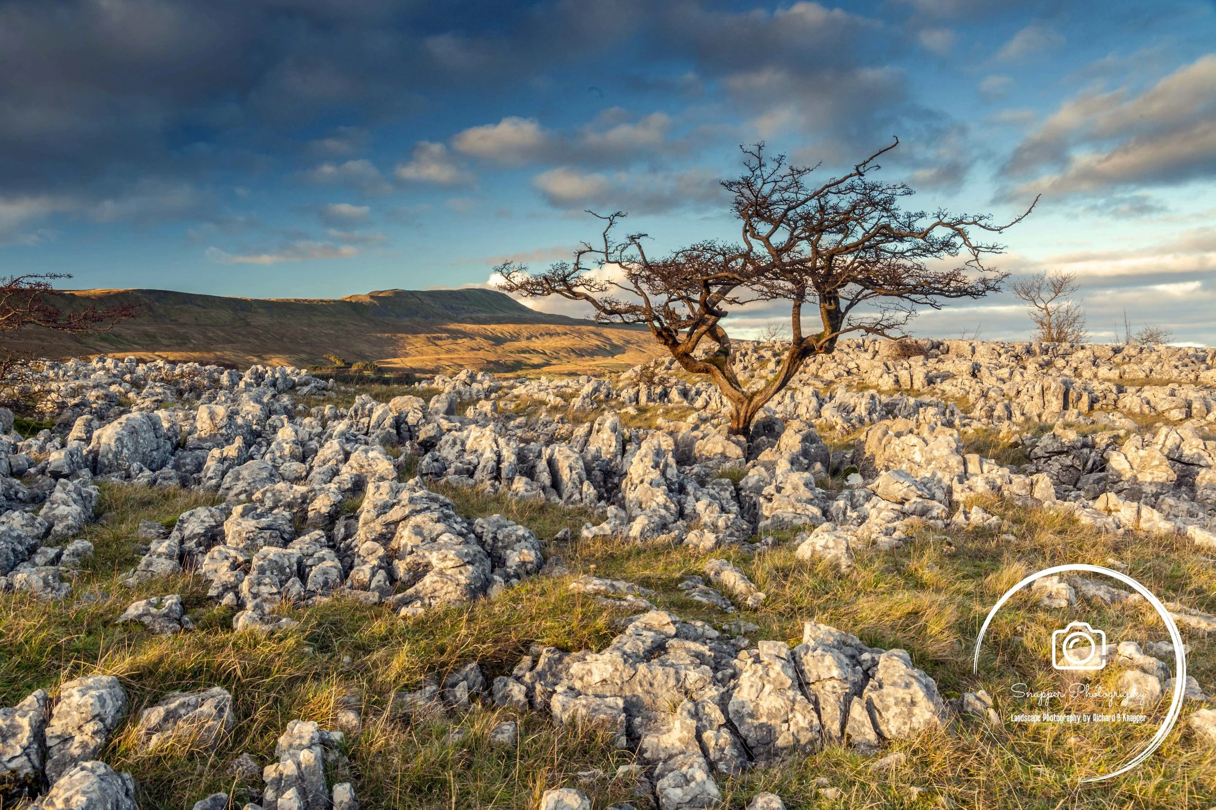Yorkshire Dales