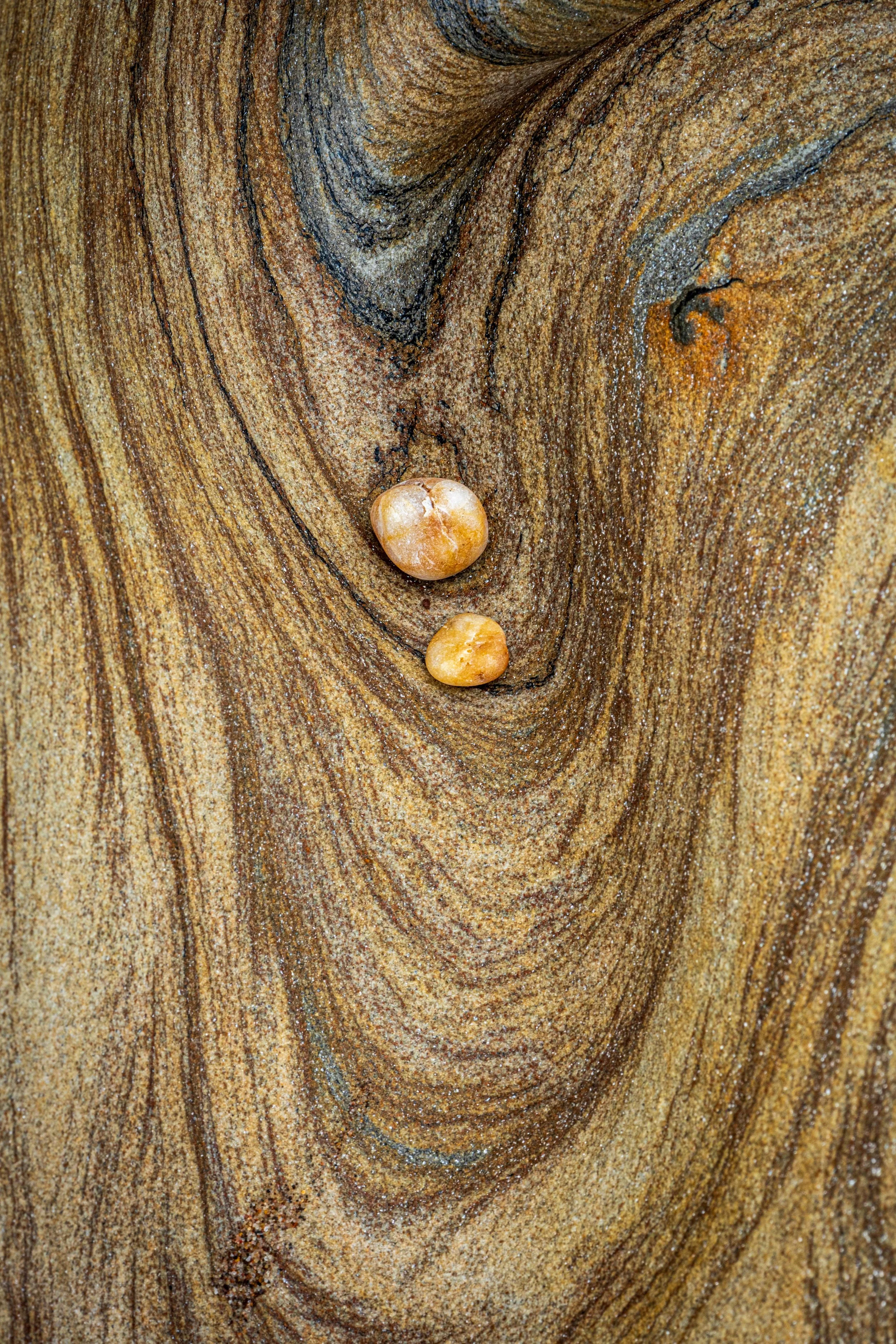 Abstract