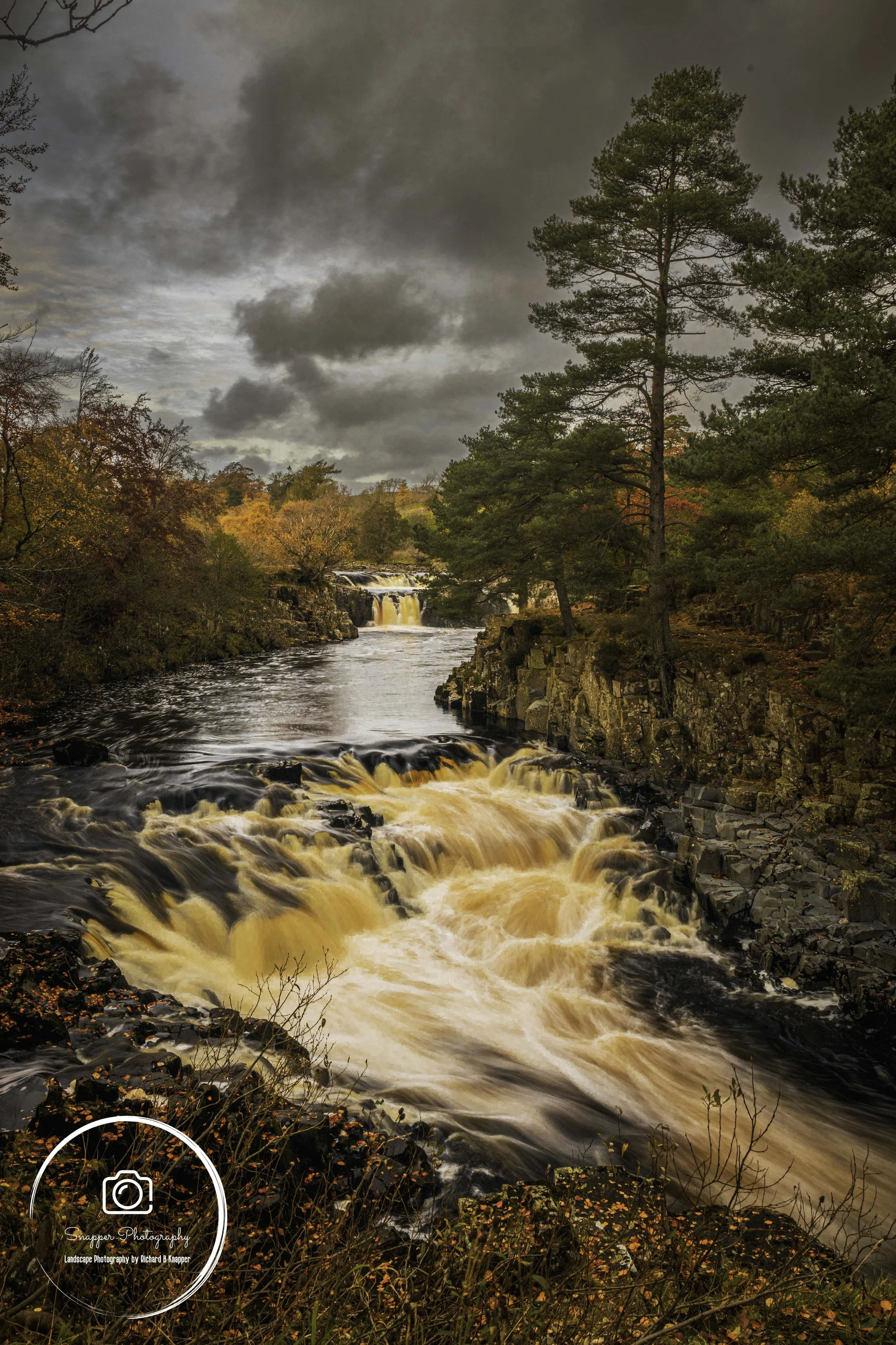 LDU298 - Brooding, Low Force.jpg