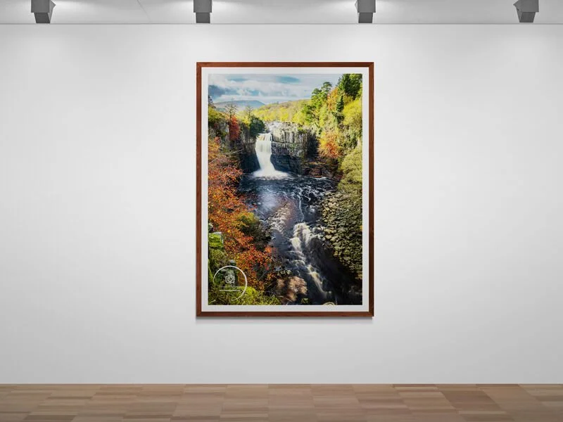 art-gallery-wall---31 (74).jpg