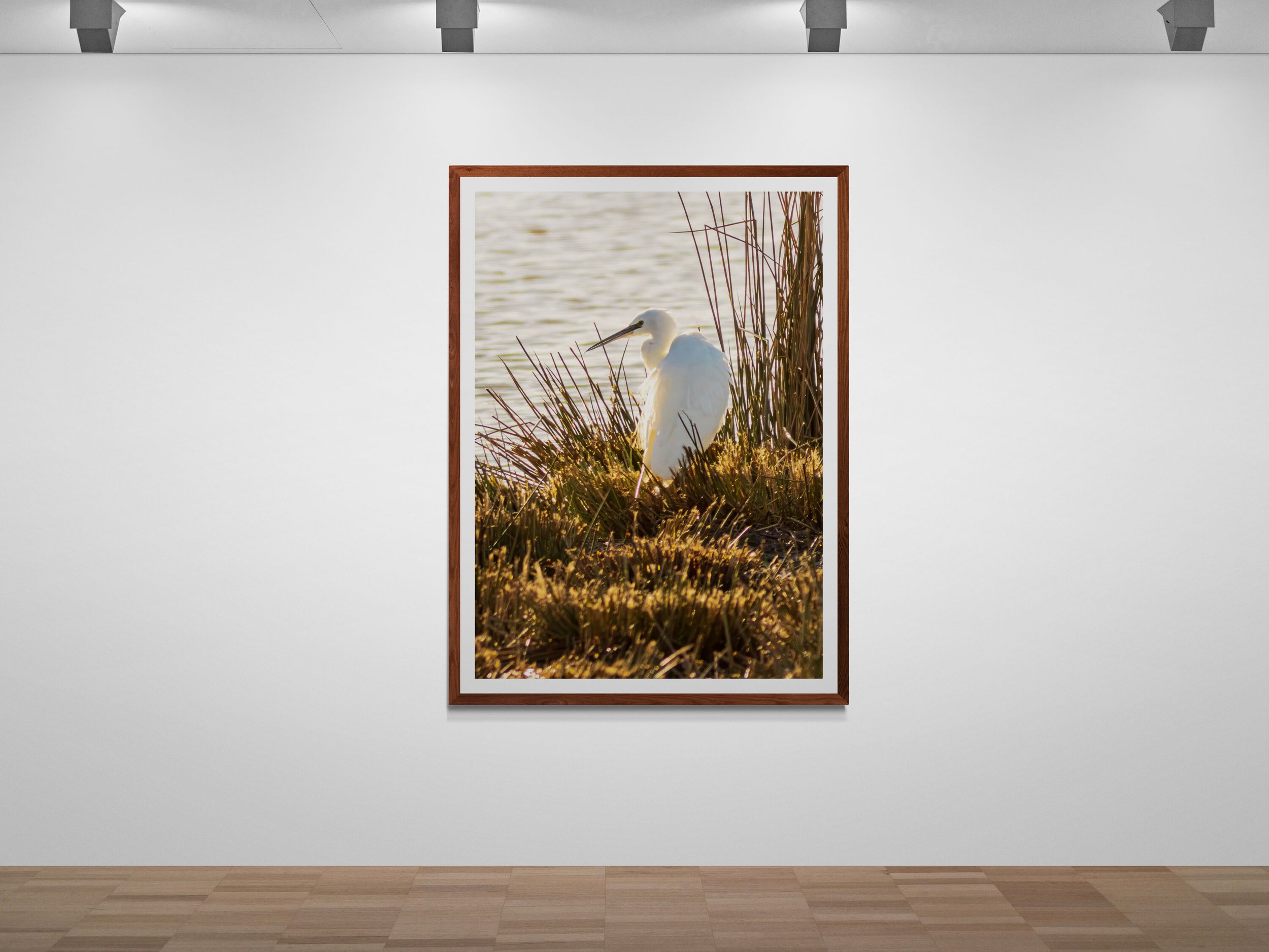 art-gallery-wall---31 (32).jpg