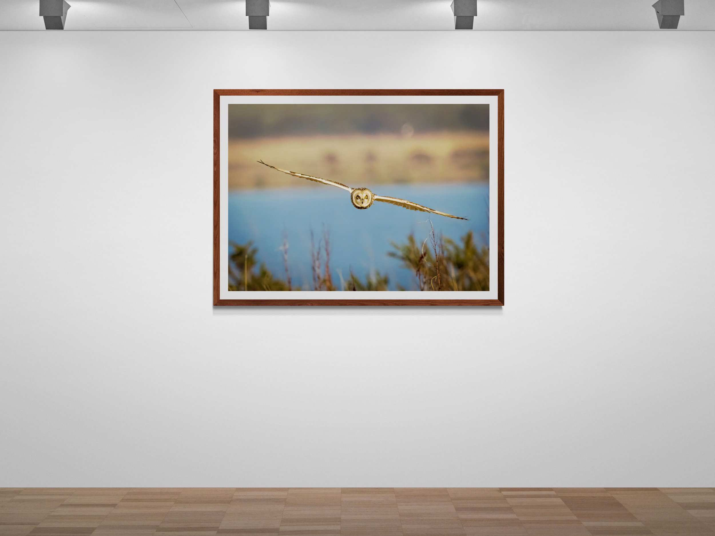 art-gallery-wall---31 (49).jpg