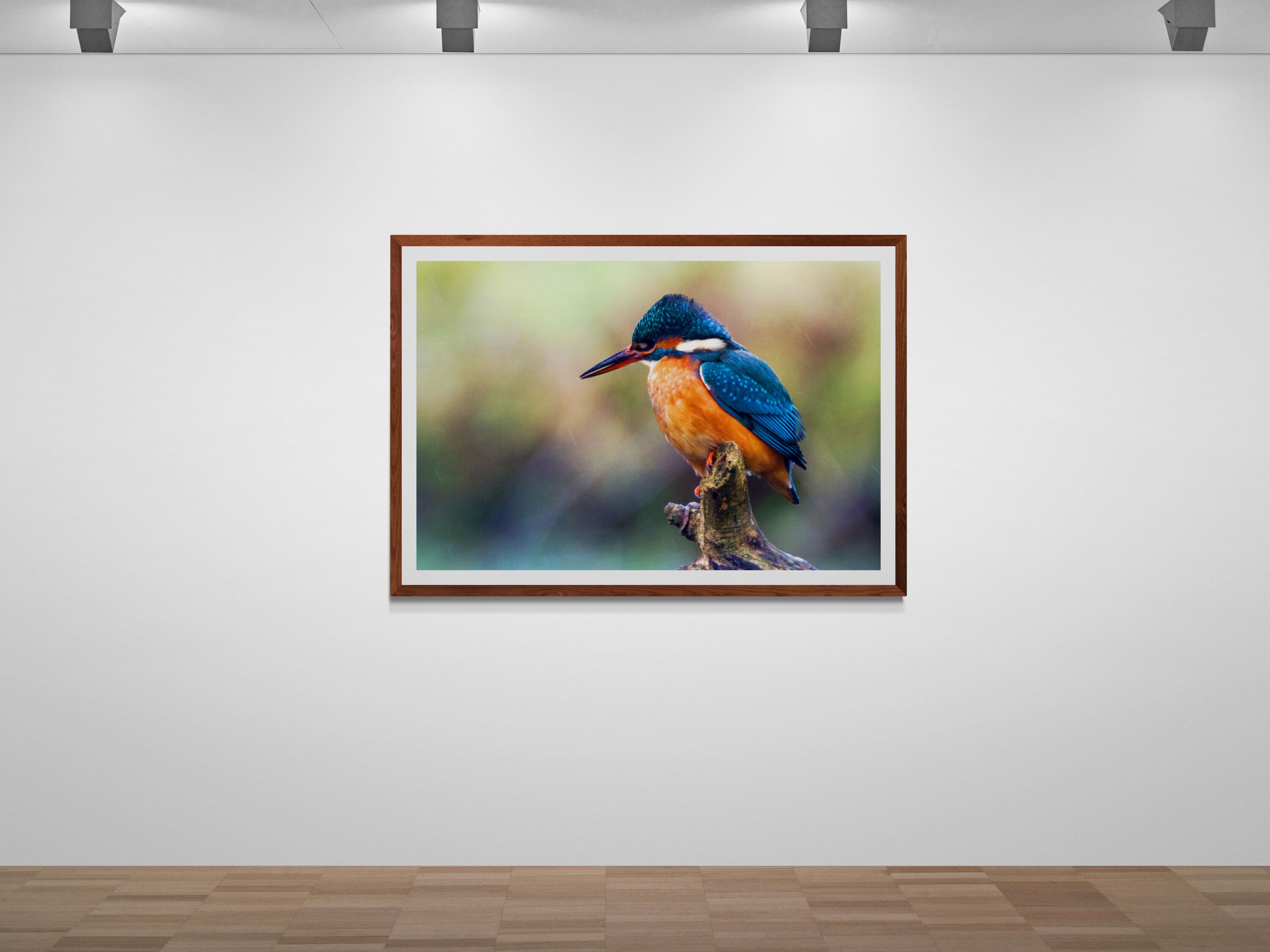 art-gallery-wall---31 (28).jpg