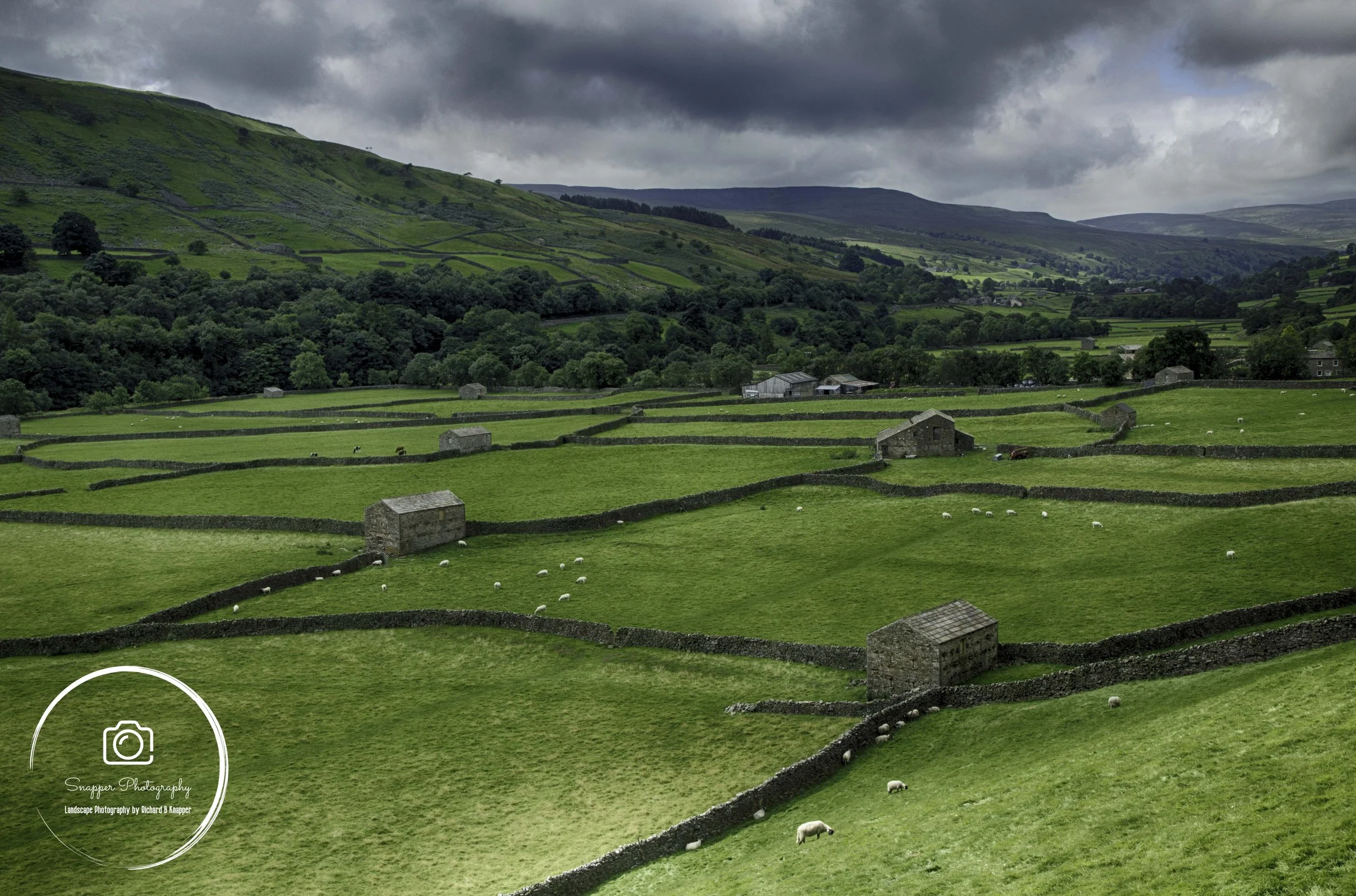 LYD016 - Patchwork Countryside, Swaledale.jpg