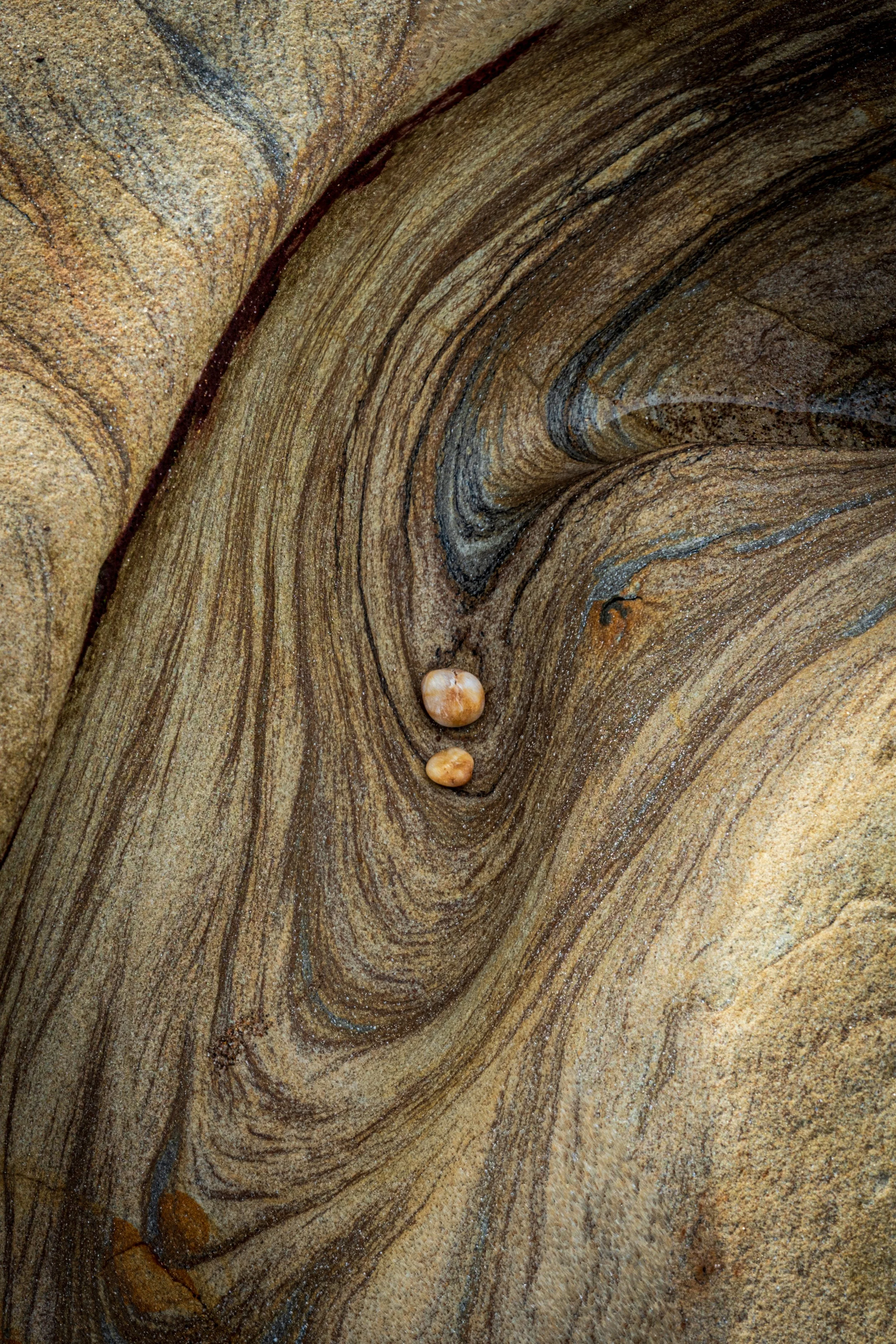 AB001 - Layer and Form, Berwick upon Tweed.jpg