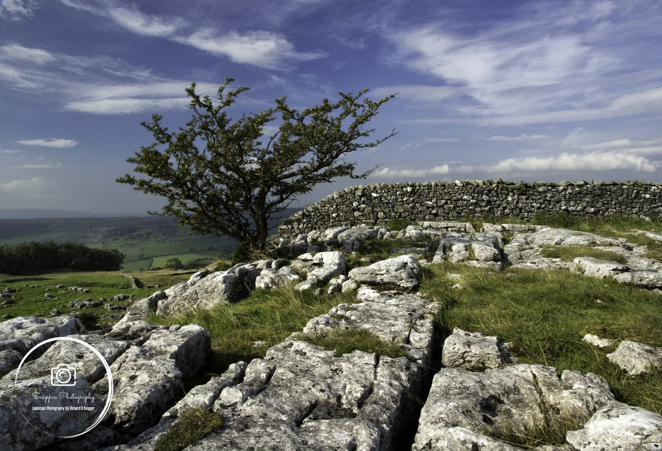 LYD015 - Hawthorn and Limestone.jpg