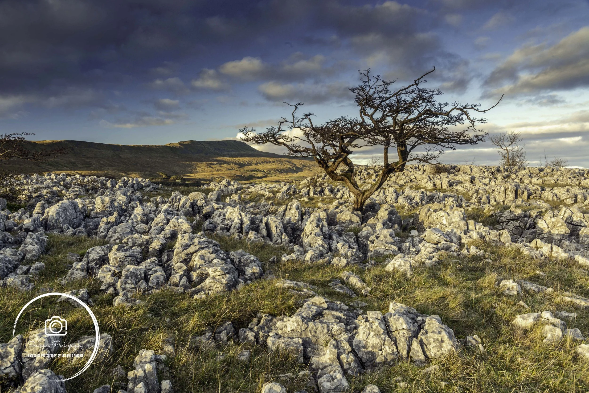 LYD007 - Lone Hawthorn and Limestone Pavement.jpg