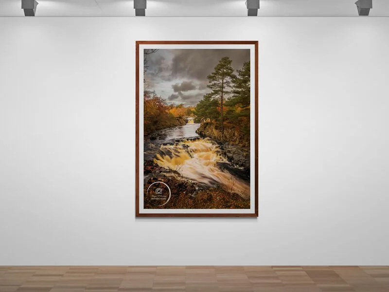 art-gallery-wall---31 (75).jpg