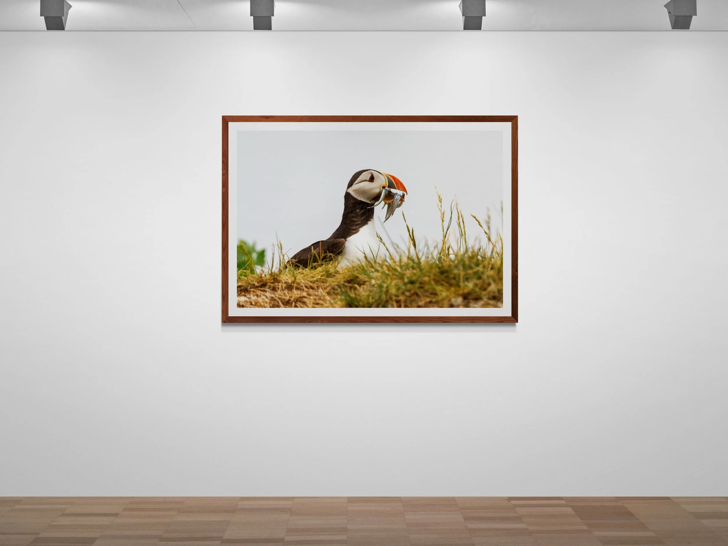 art-gallery-wall---31 (48).jpg