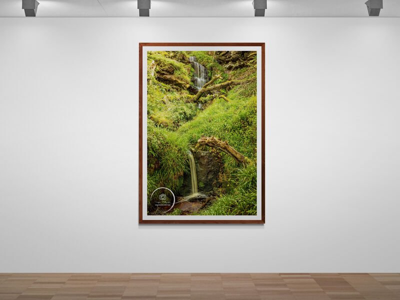 art-gallery-wall---31 (87).jpg