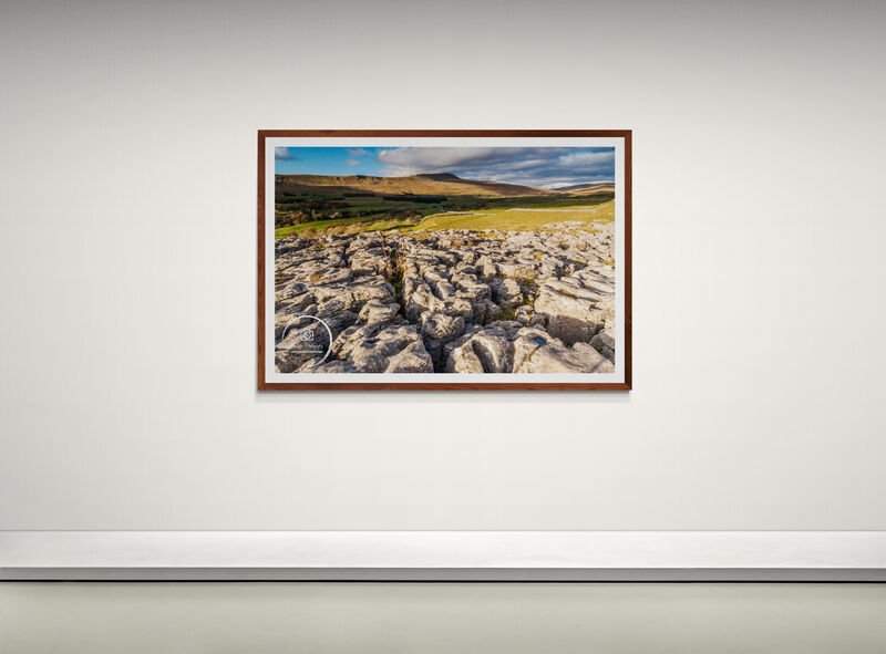 art-gallery-wall---39 (1).jpg