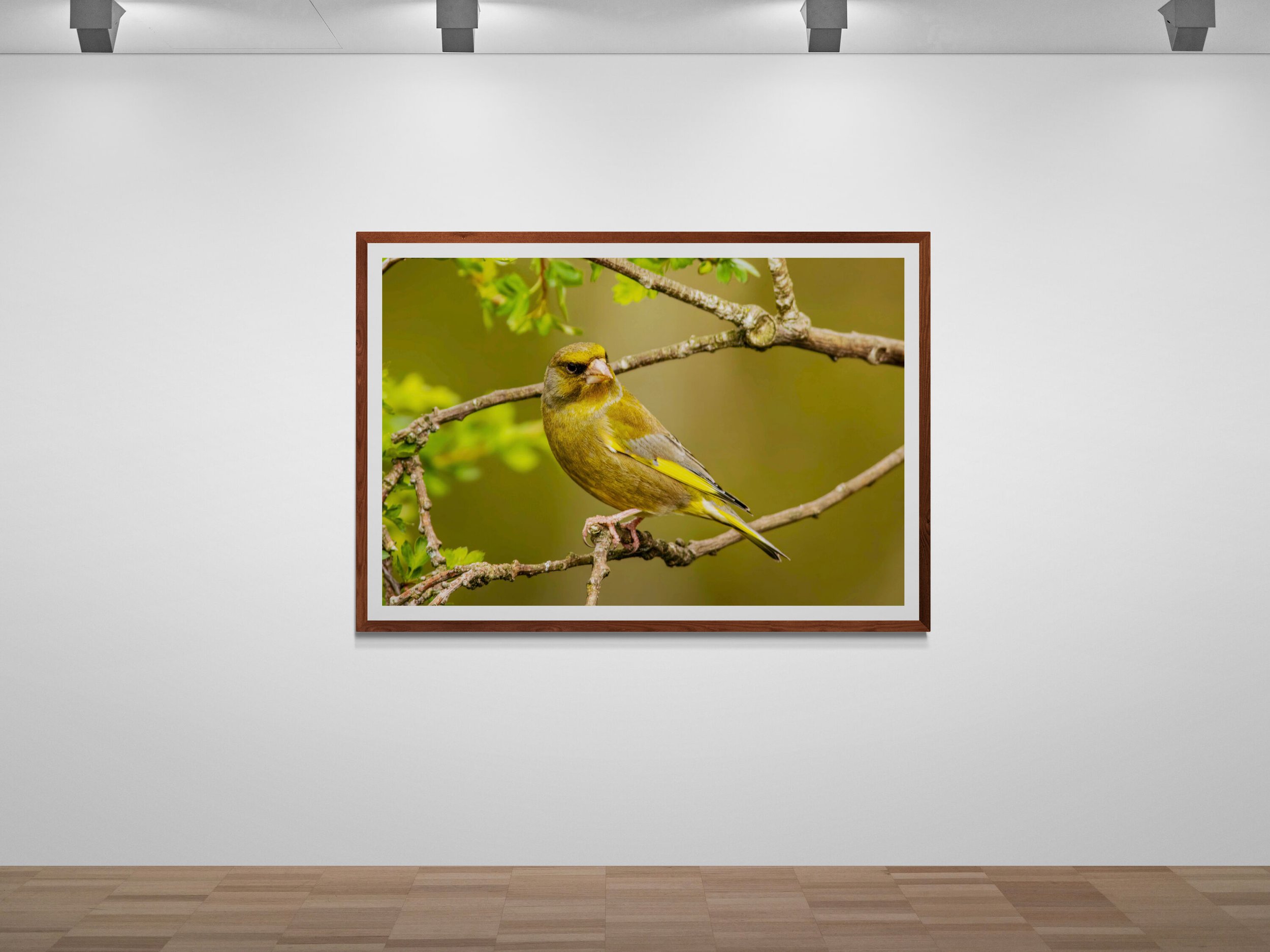 art-gallery-wall---31 (25).jpg
