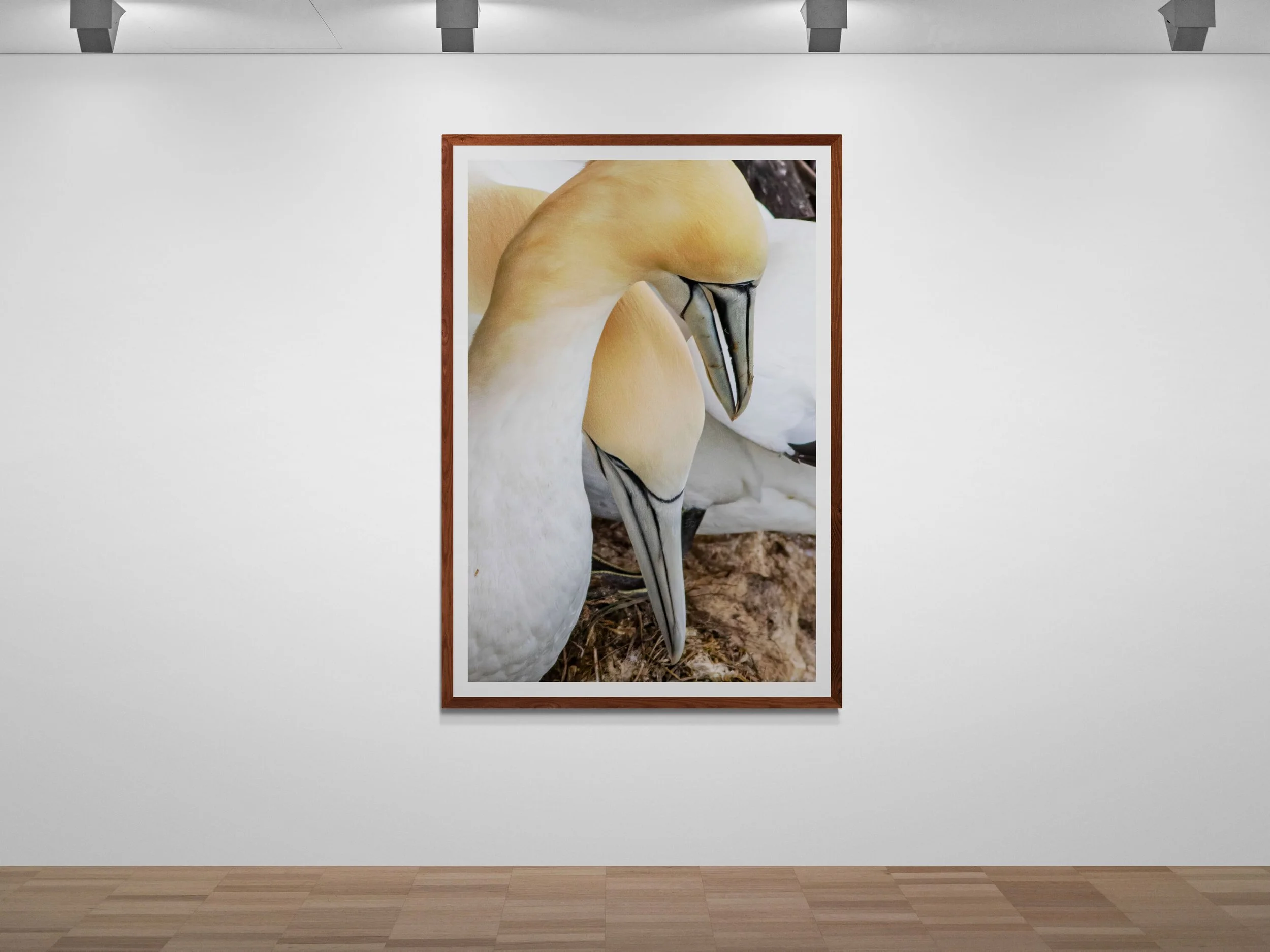 art-gallery-wall---31 (52).jpg