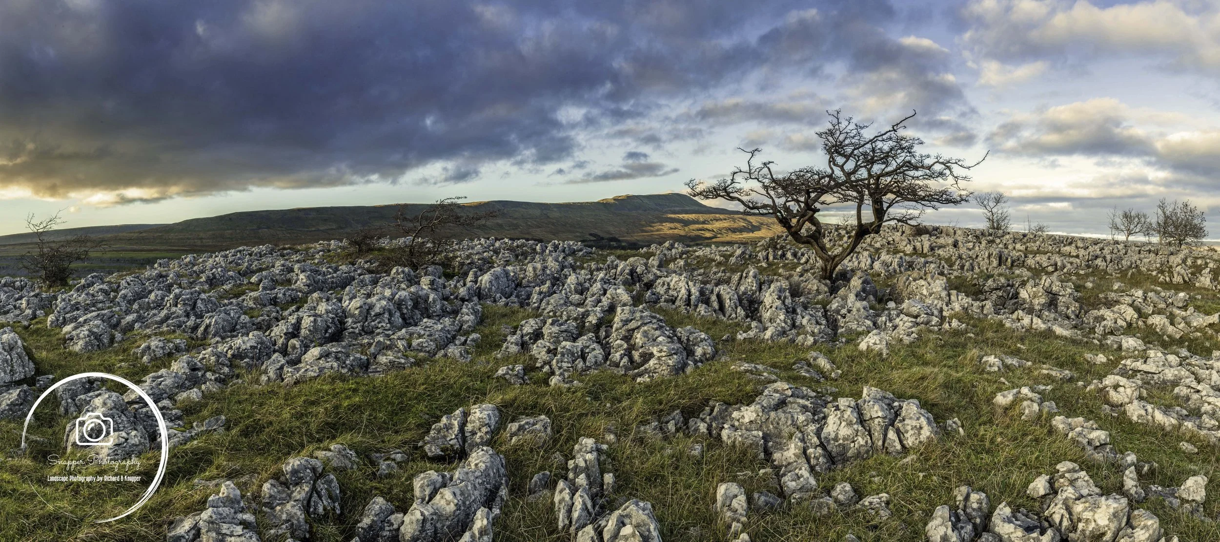 Windswept Hawthorn and Limestone Pavement, Souther Scales