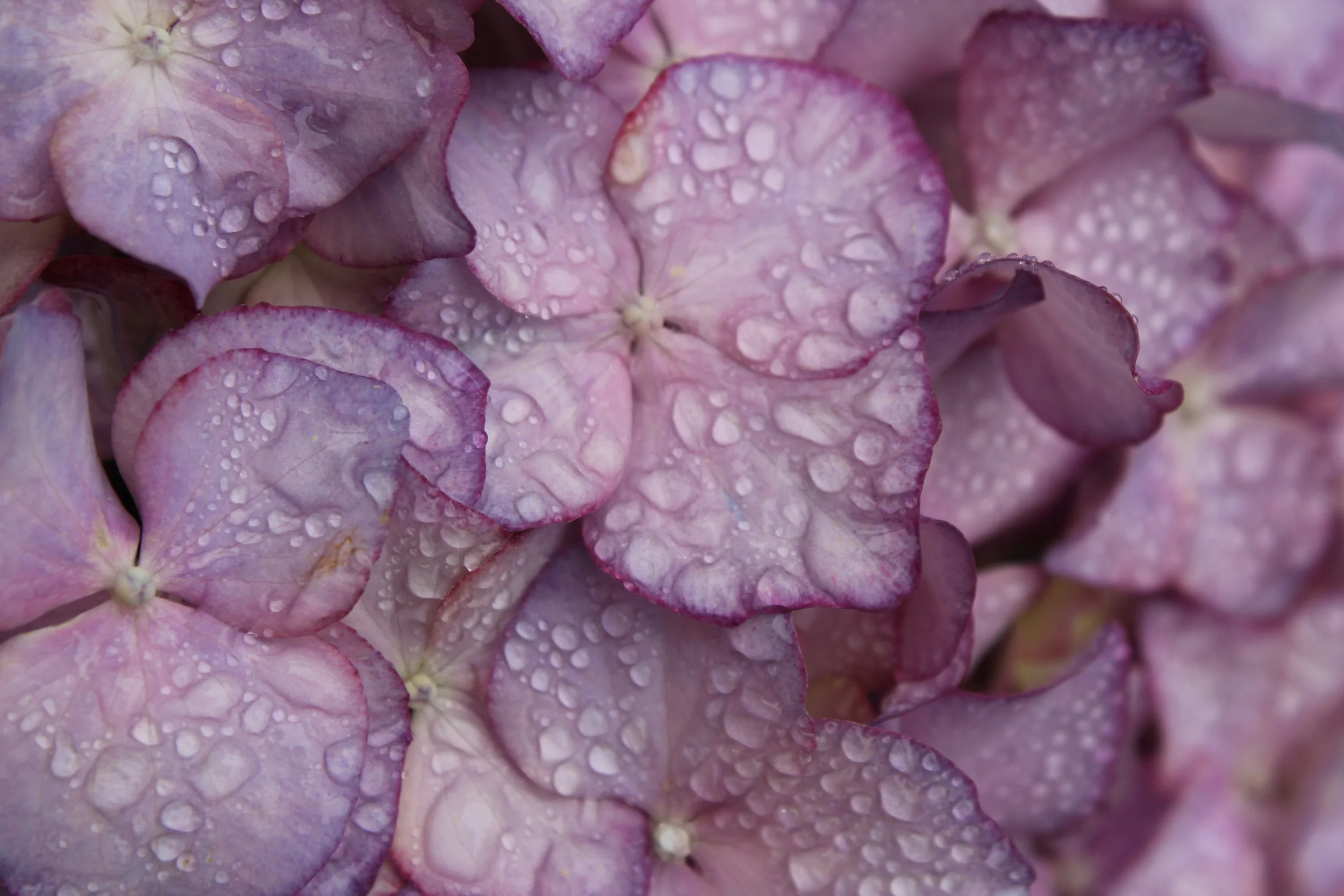 Vi kan levere til din bedrift