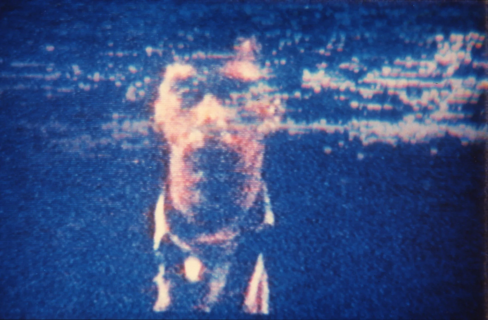 TOHH_gus_video.jpg
