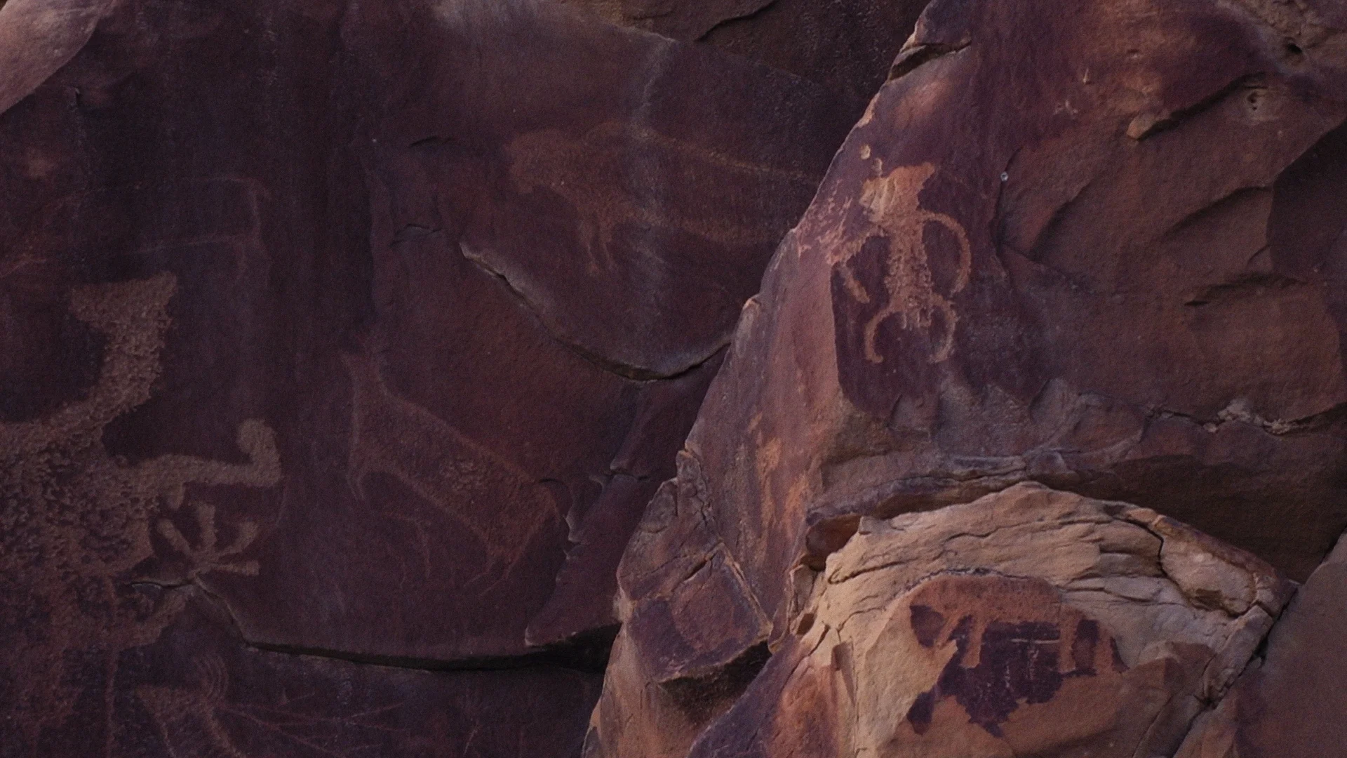 Becoming Animal 2018 Peter Mettler - 