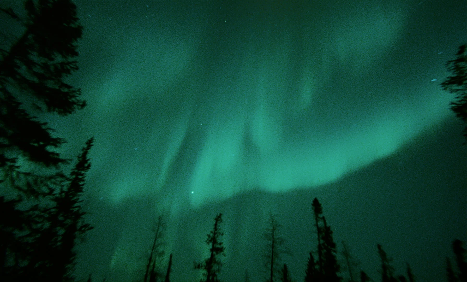 PictureOfLight_148.jpg