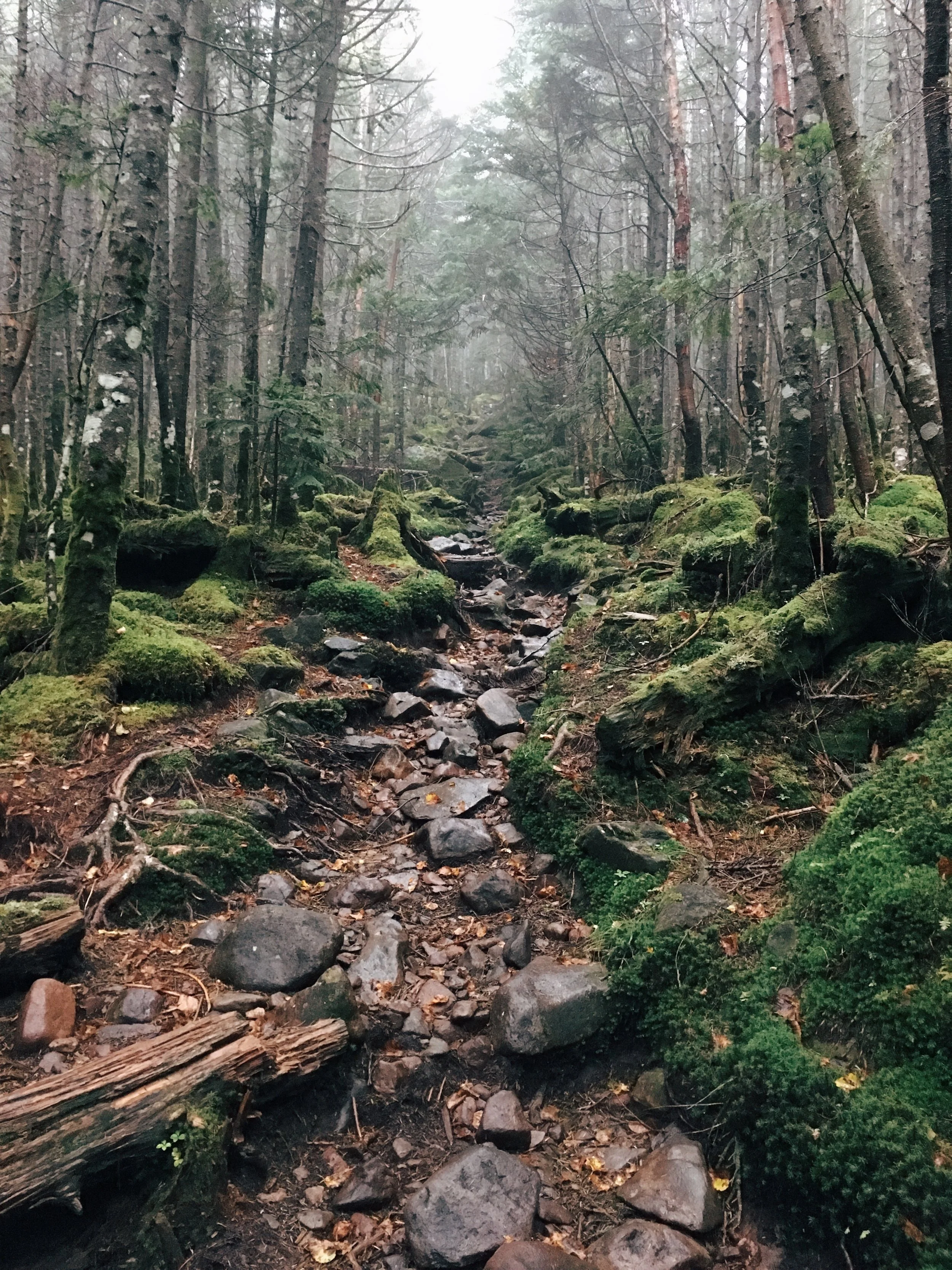写真 2018-09-22 7 33 40.jpg