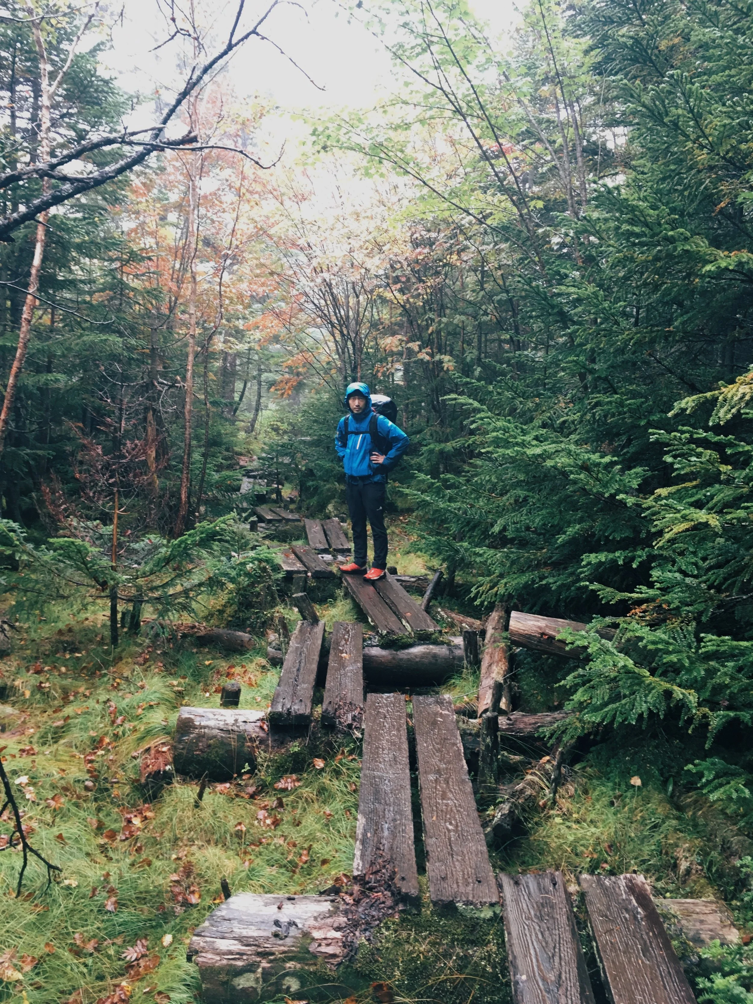 写真 2018-09-22 10 47 41.jpg