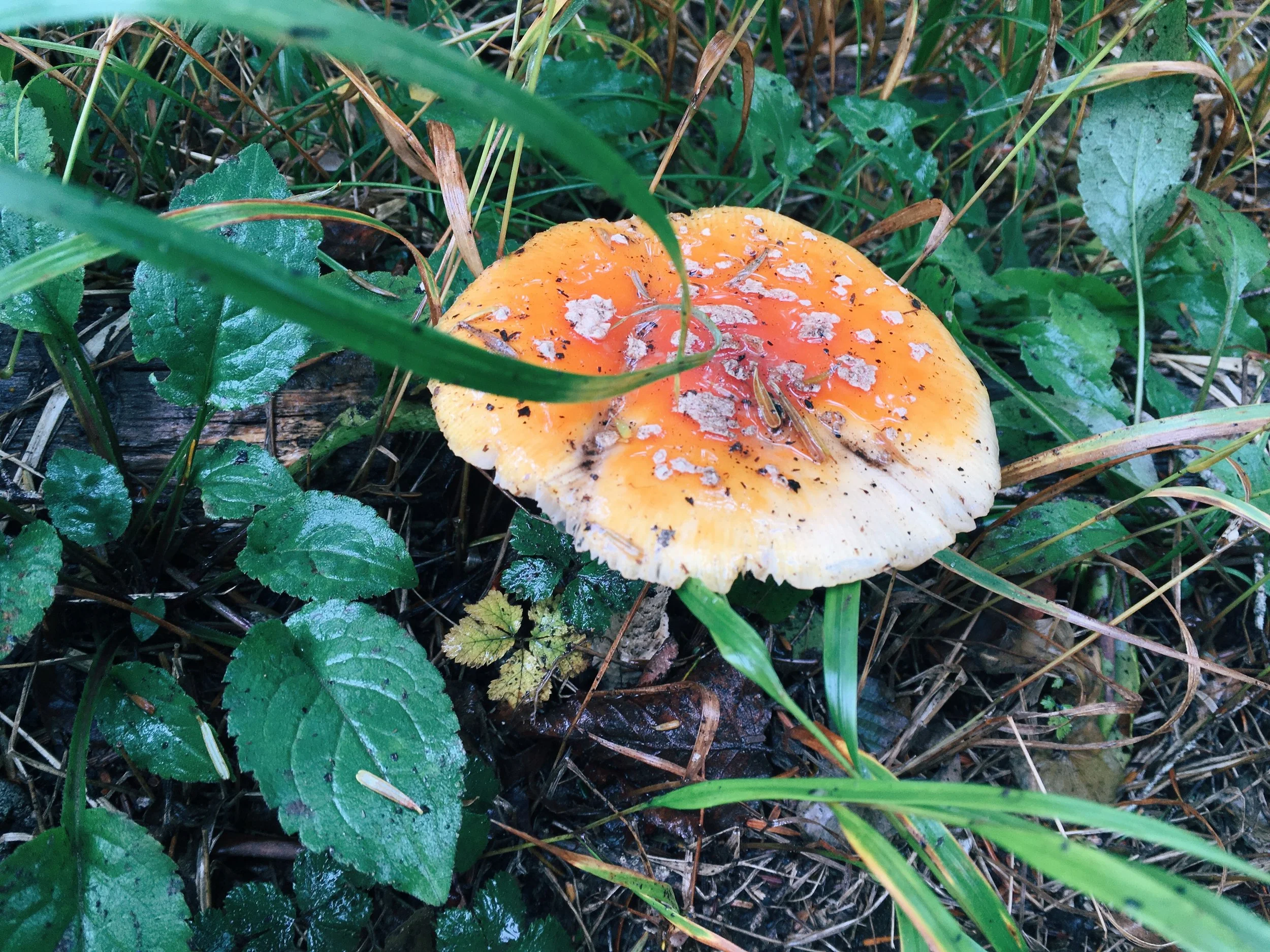 写真 2018-09-22 13 31 48.jpg